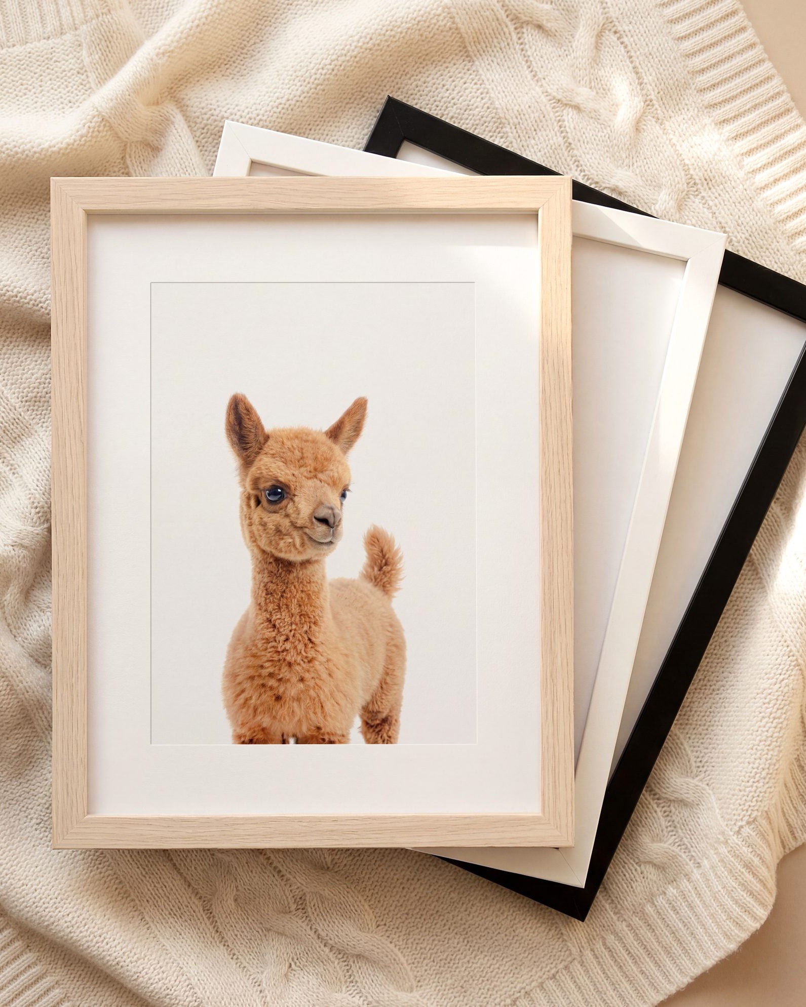 The Baby Animals 2026 Collection
