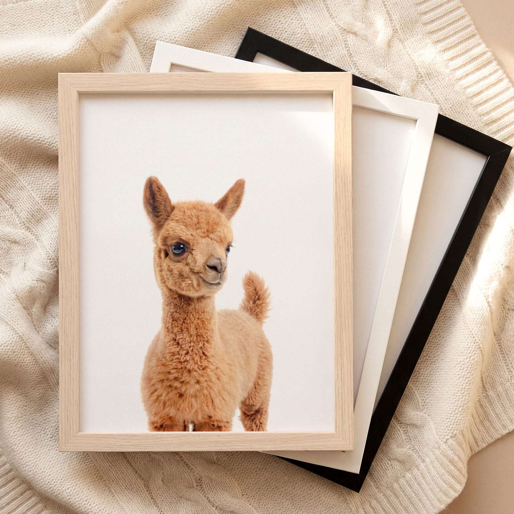 The Baby Animals 2026 Collection