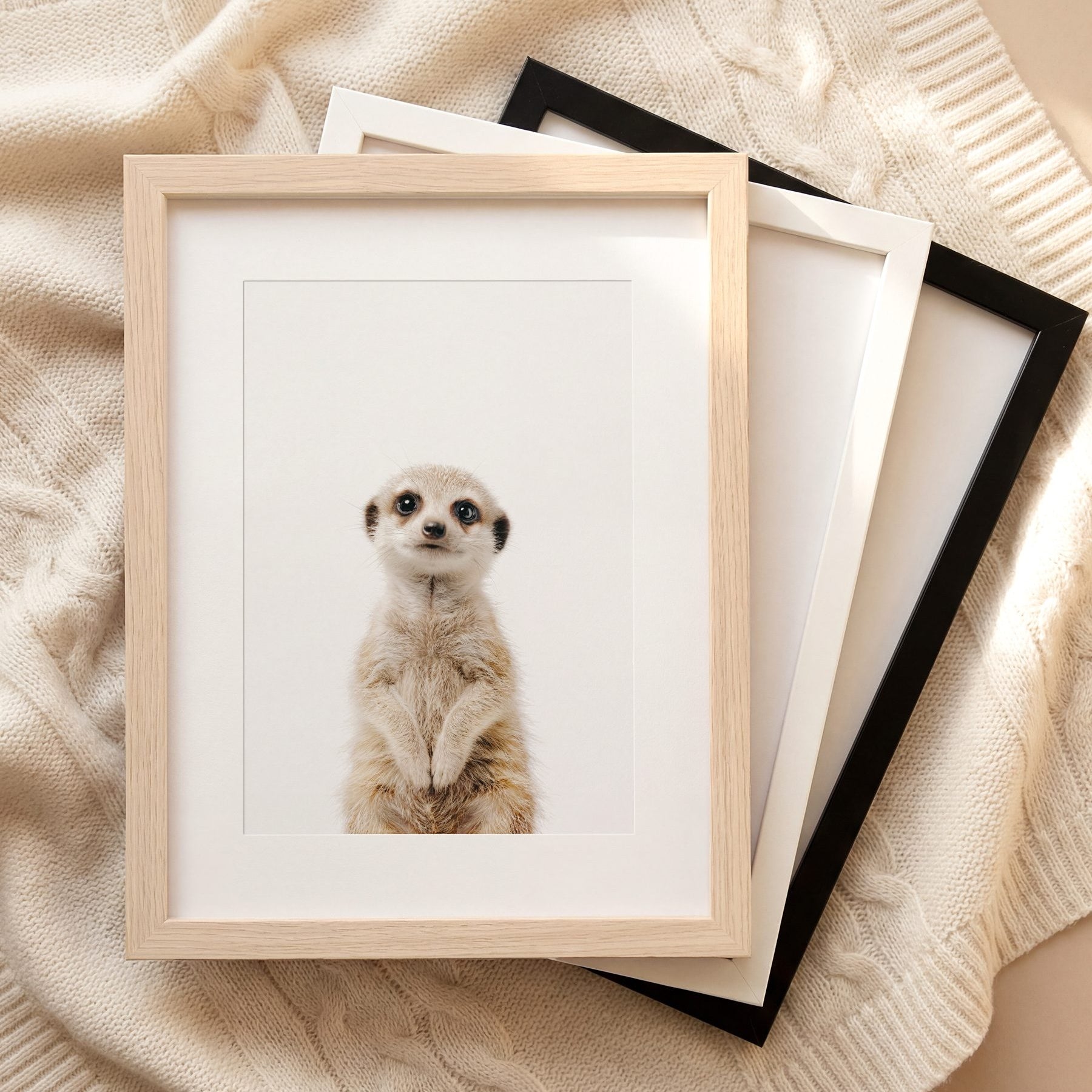 The Baby Animals 2026 Collection