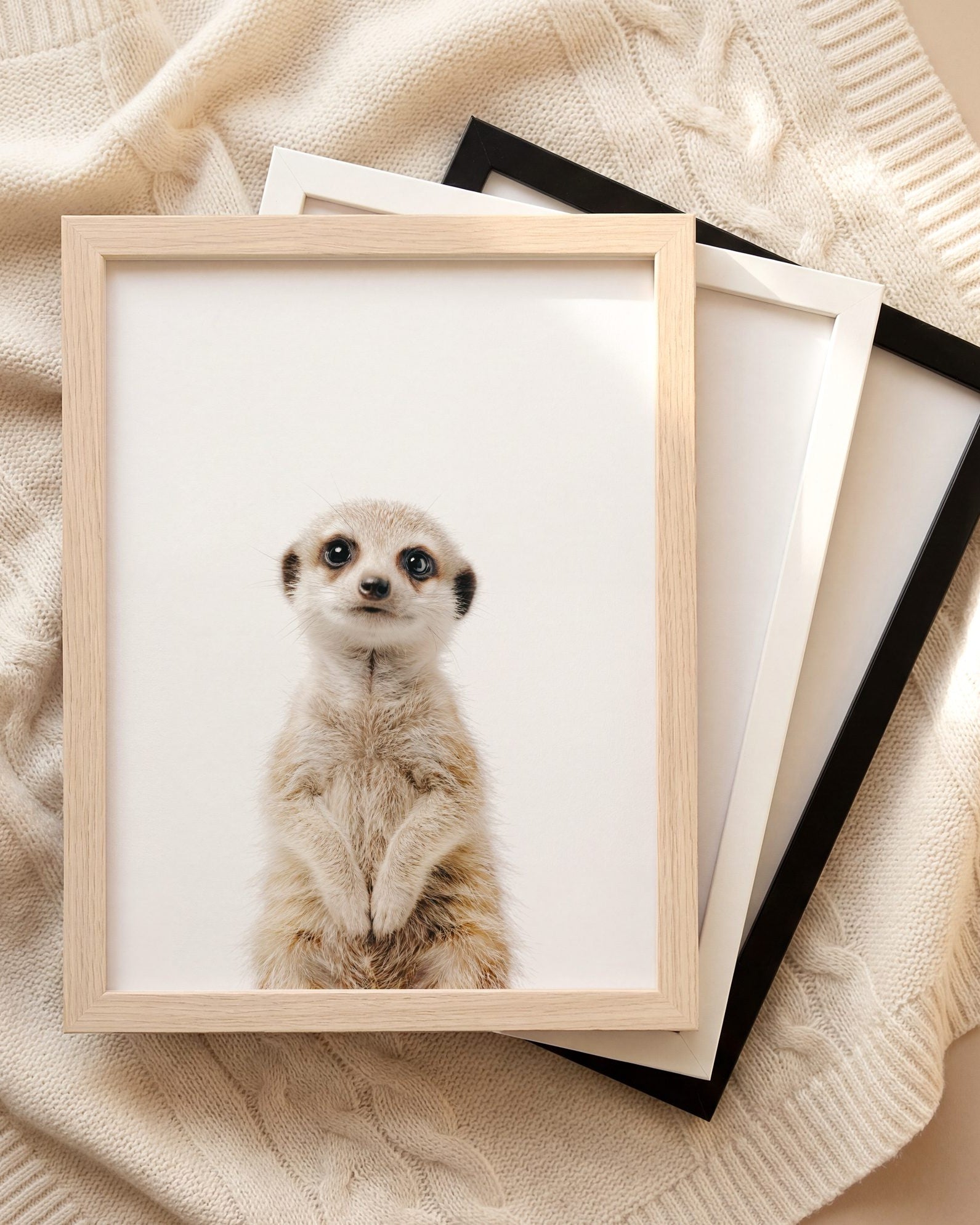 The Baby Animals 2026 Collection