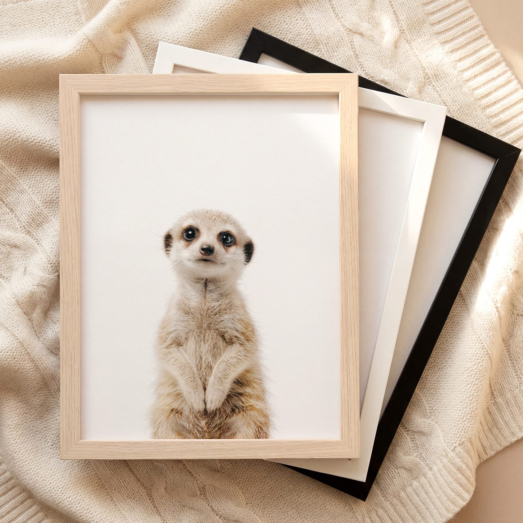 The Baby Animals 2026 Collection