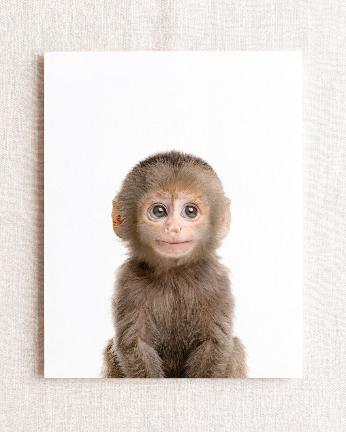 The Baby Animals 2026 Collection