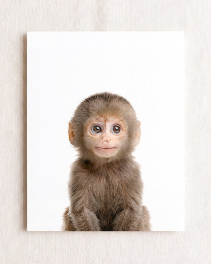 The Baby Animals 2026 Collection