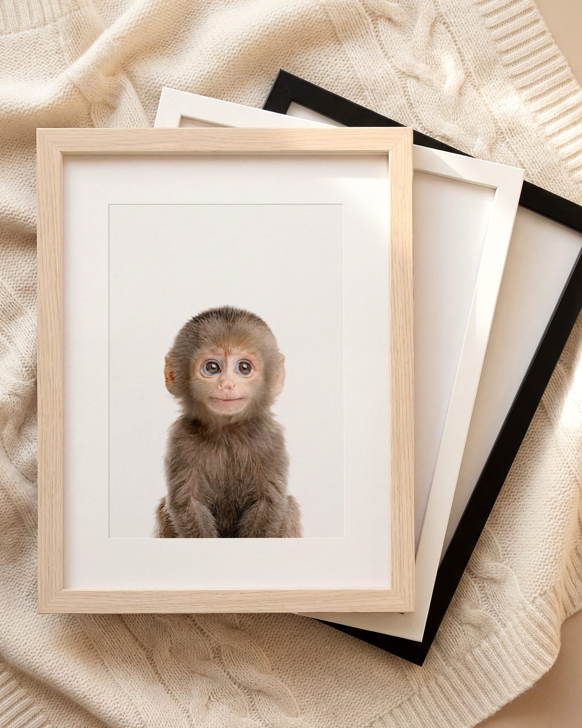 The Baby Animals 2026 Collection