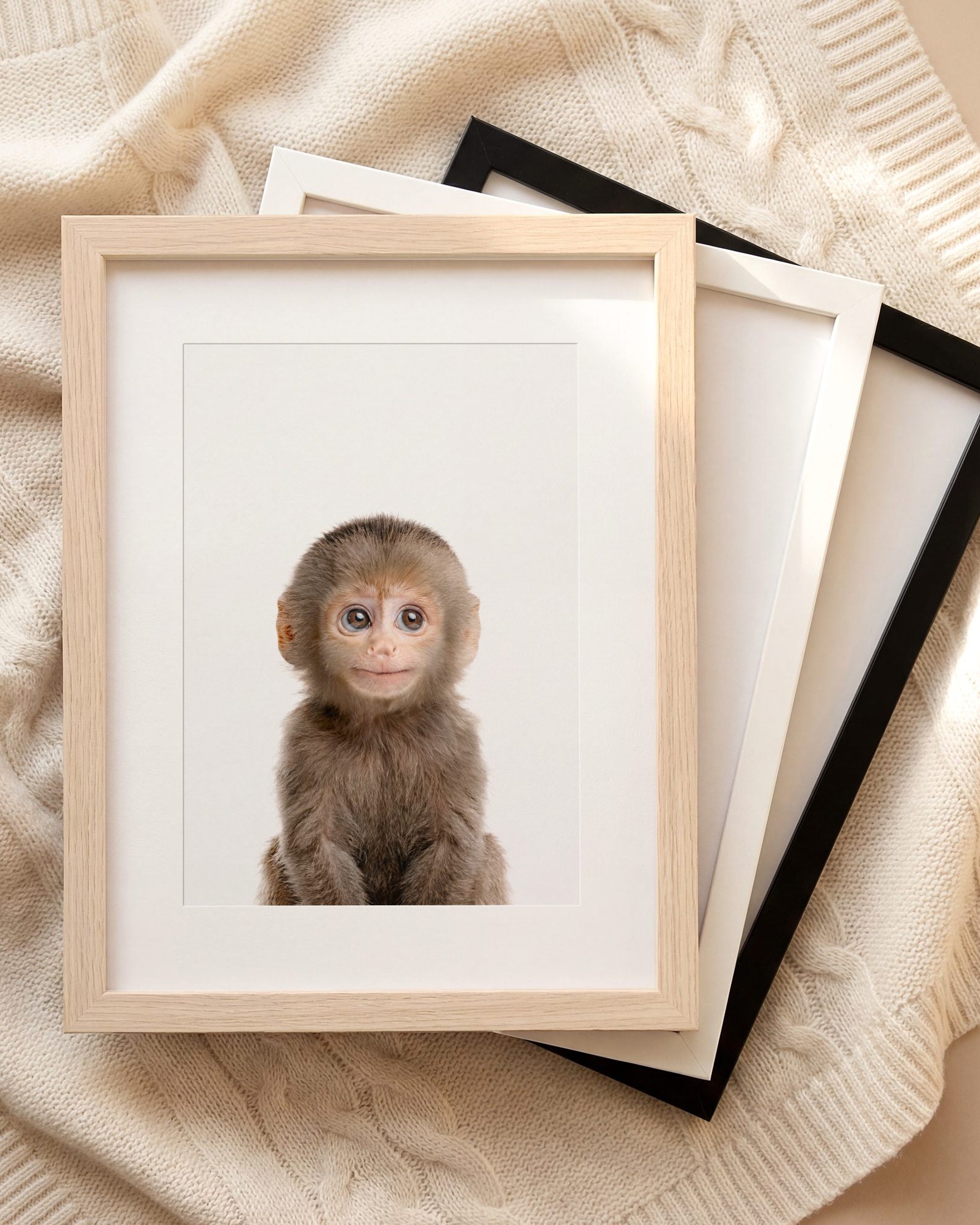 The Baby Animals 2026 Collection