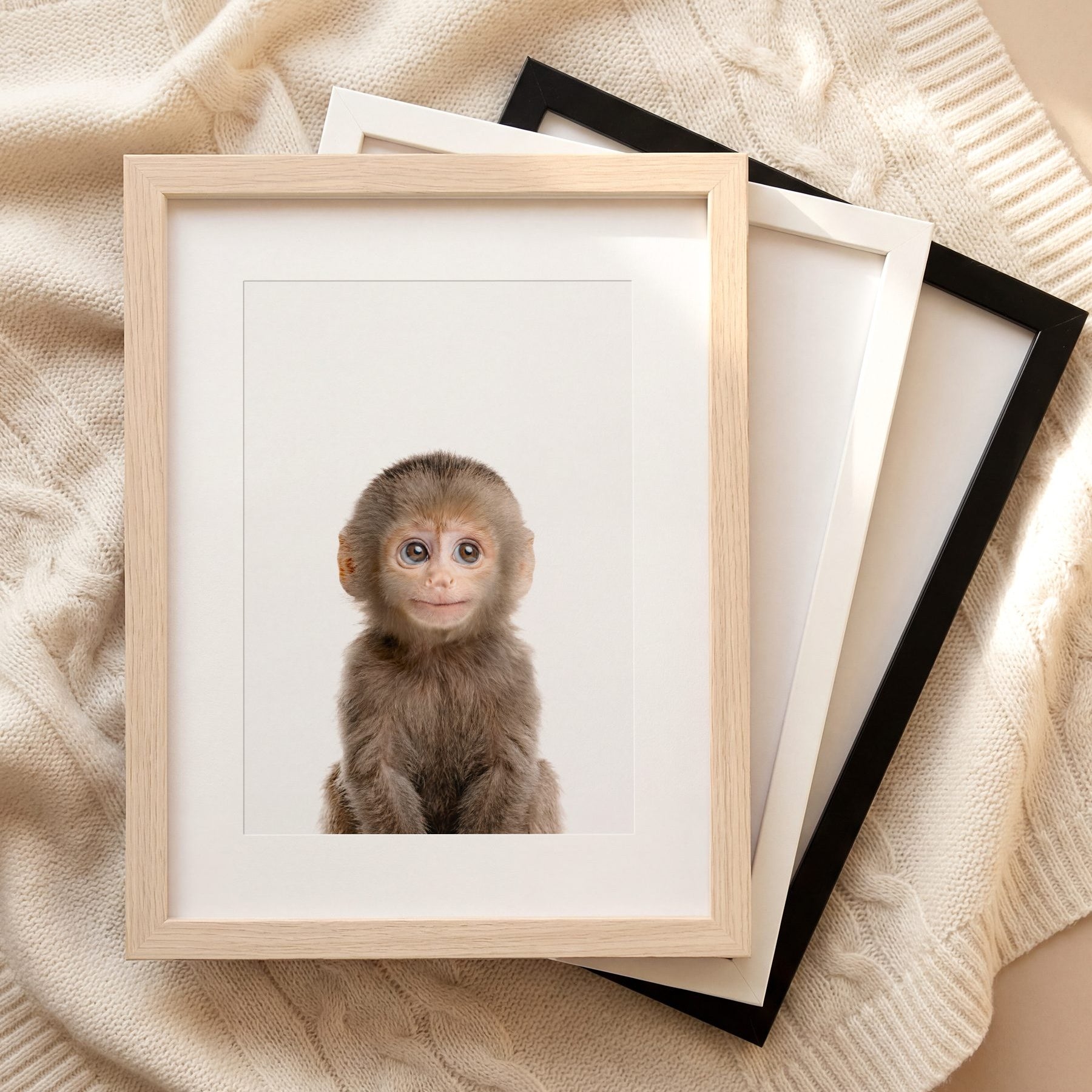 The Baby Animals 2026 Collection