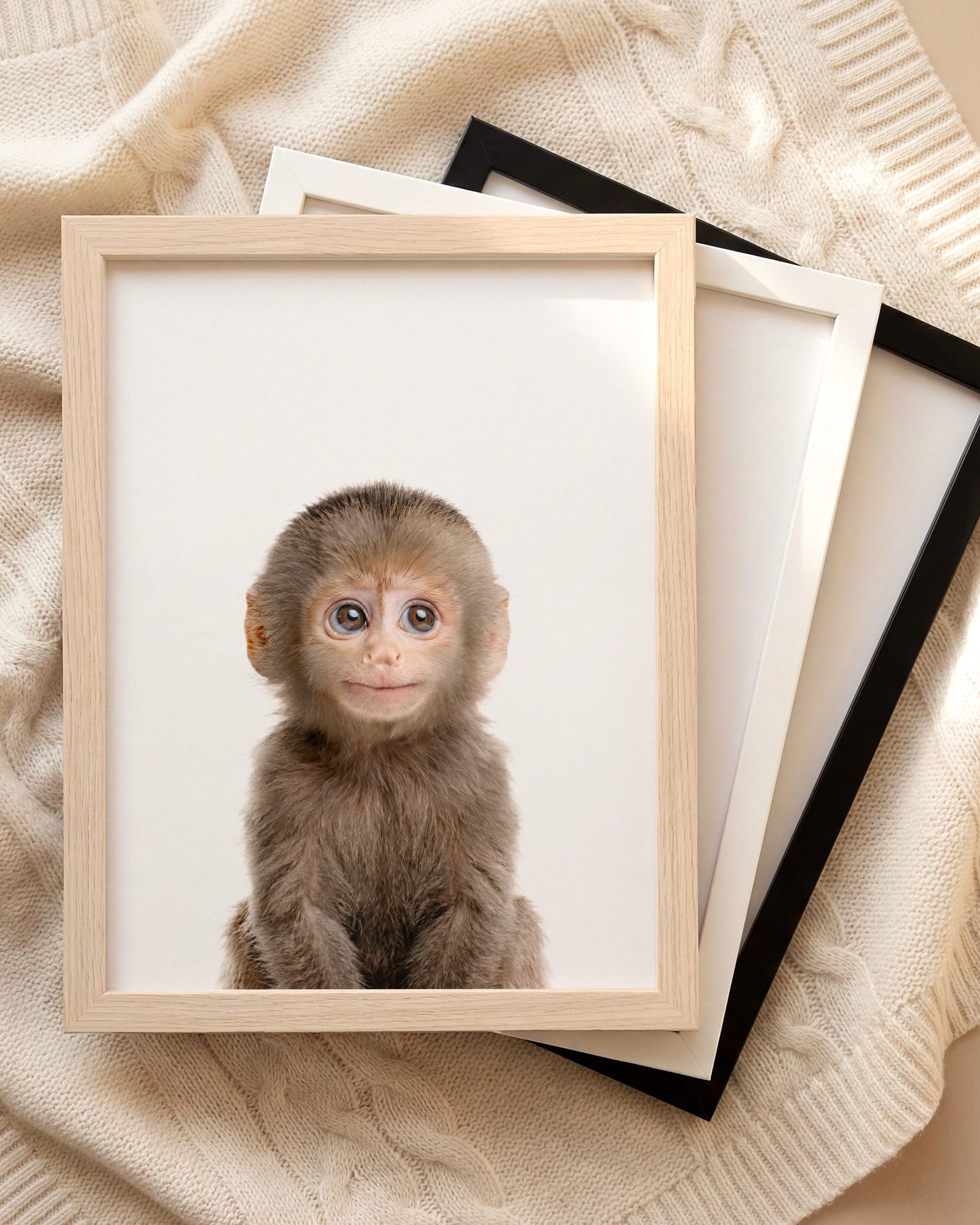 The Baby Animals 2026 Collection