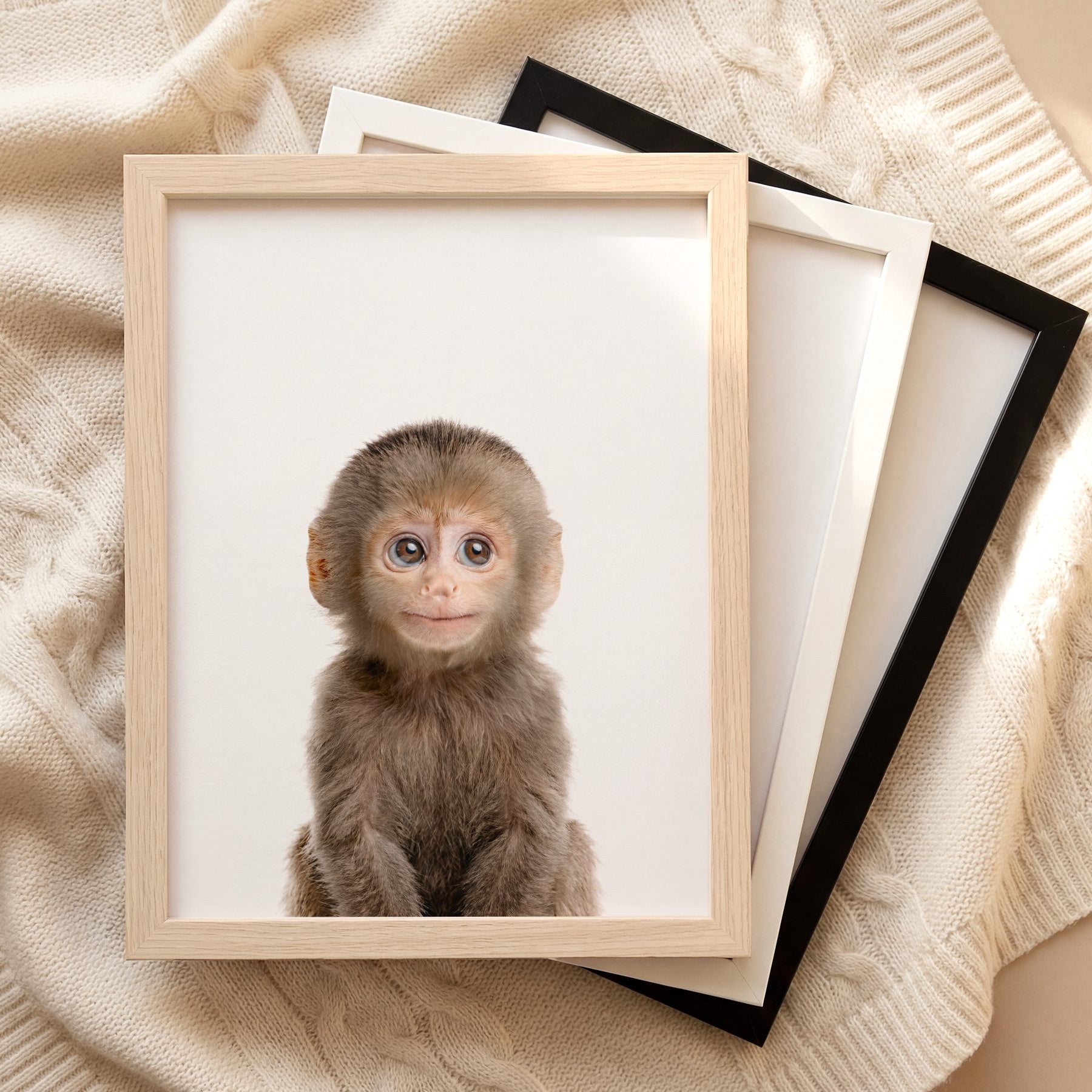The Baby Animals 2026 Collection