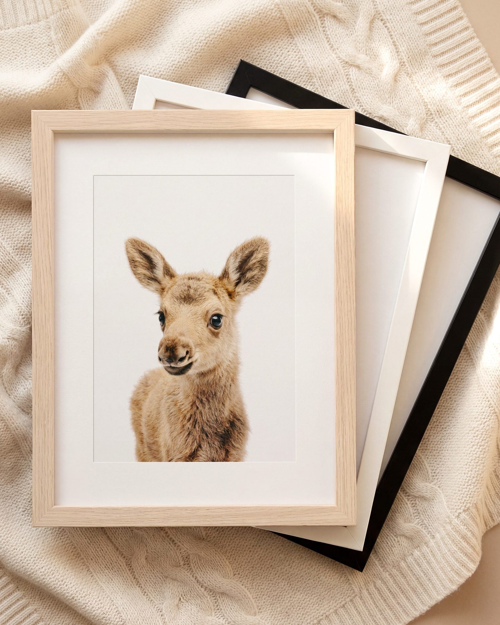 The Baby Animals 2026 Collection