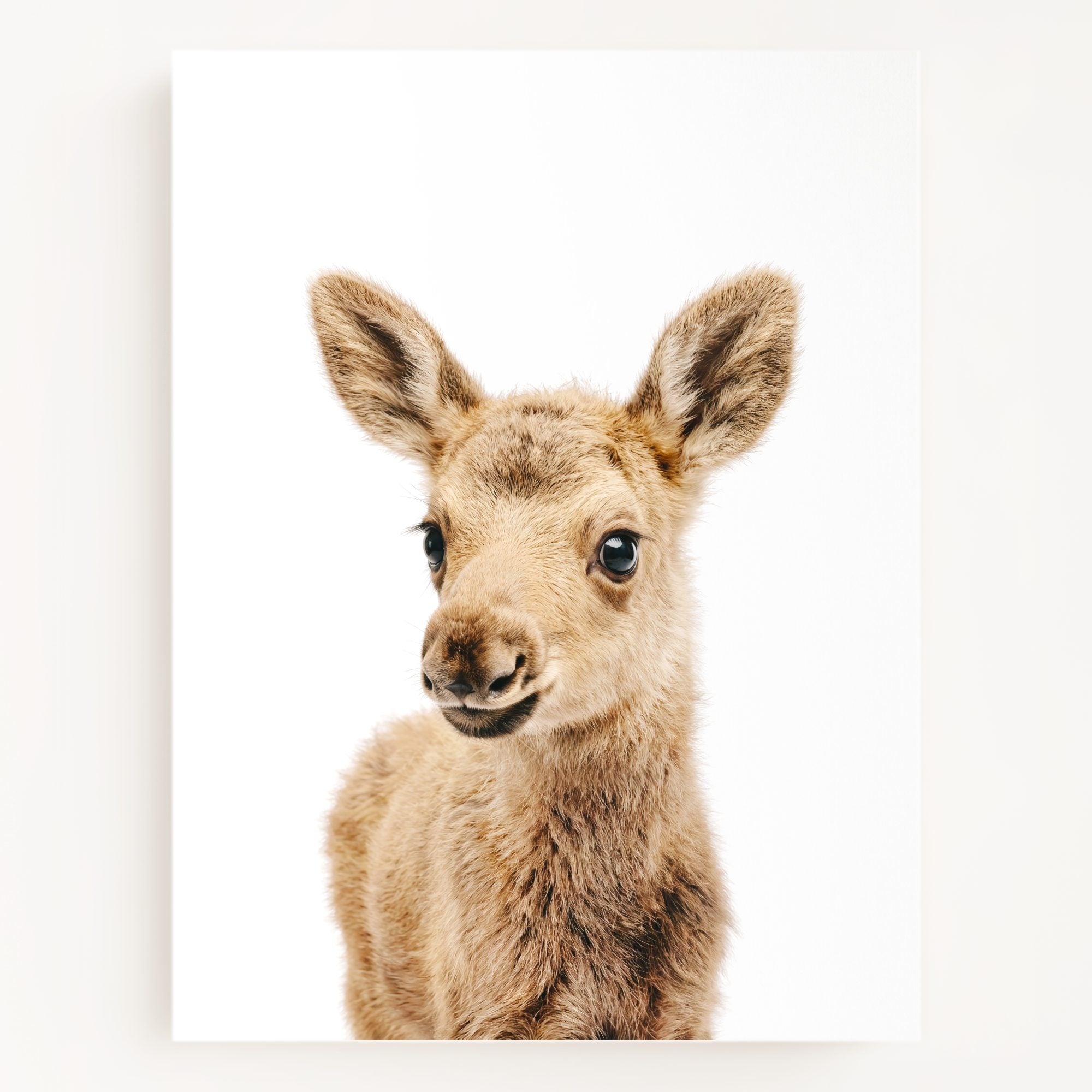 The Baby Animals 2026 Collection