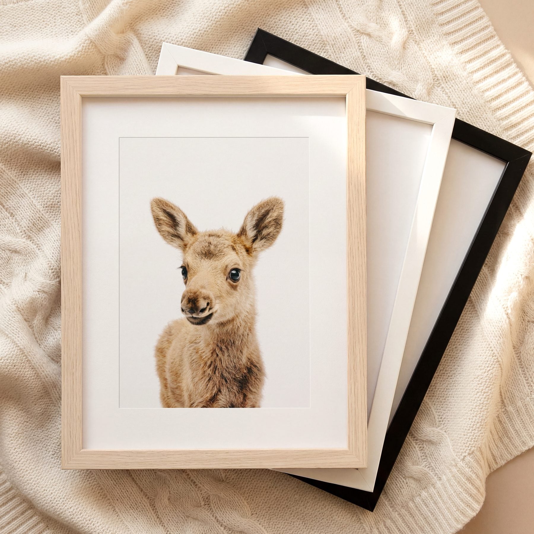The Baby Animals 2026 Collection