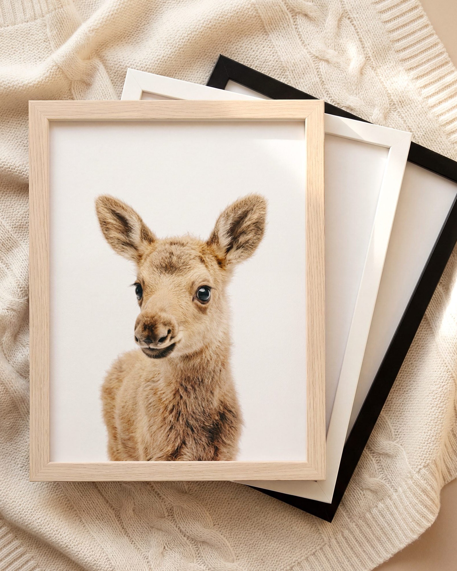 The Baby Animals 2026 Collection