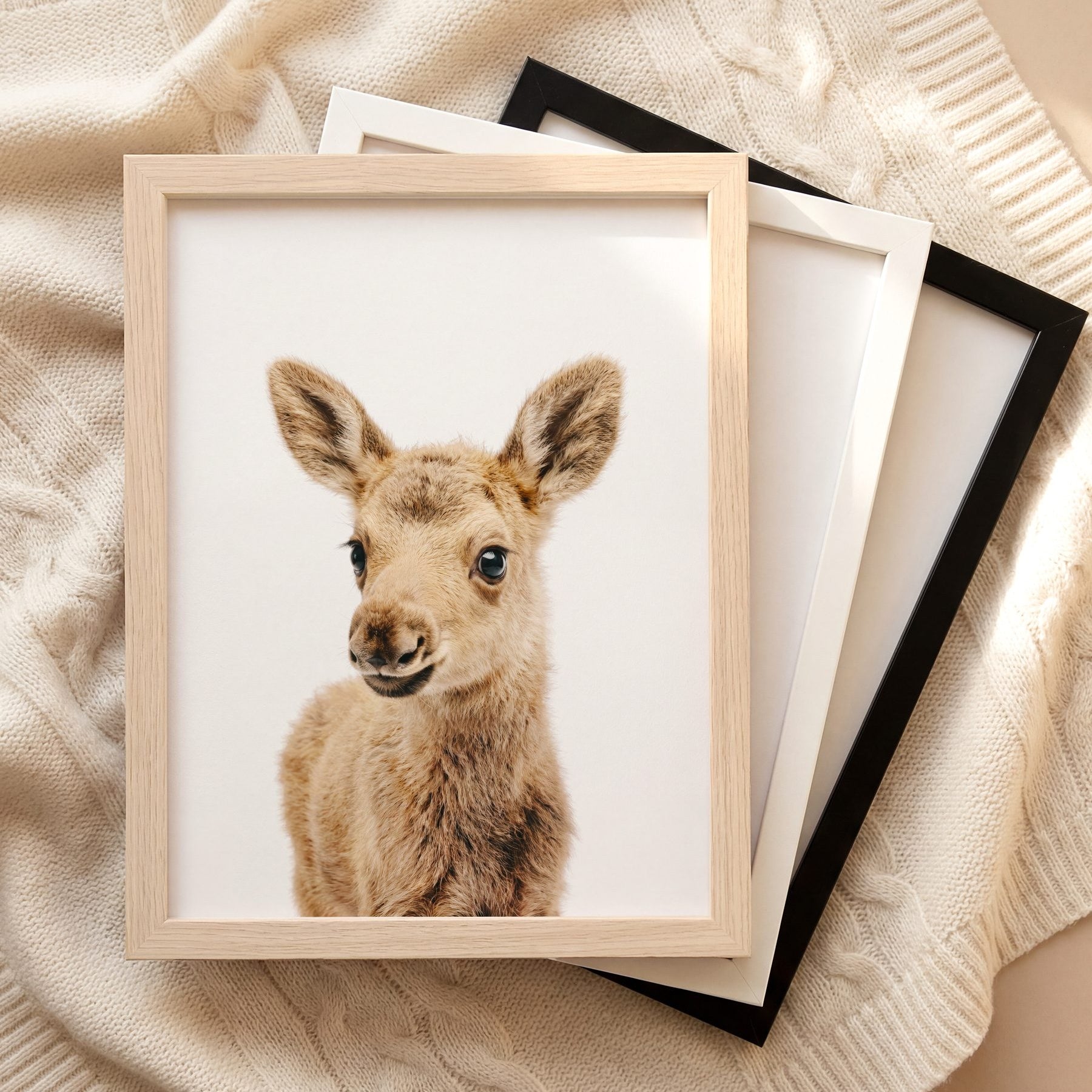The Baby Animals 2026 Collection