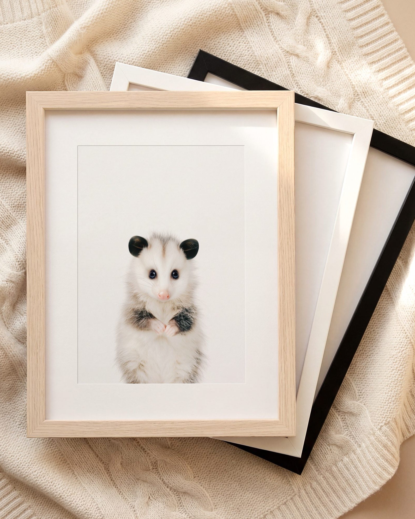 The Baby Animals 2026 Collection