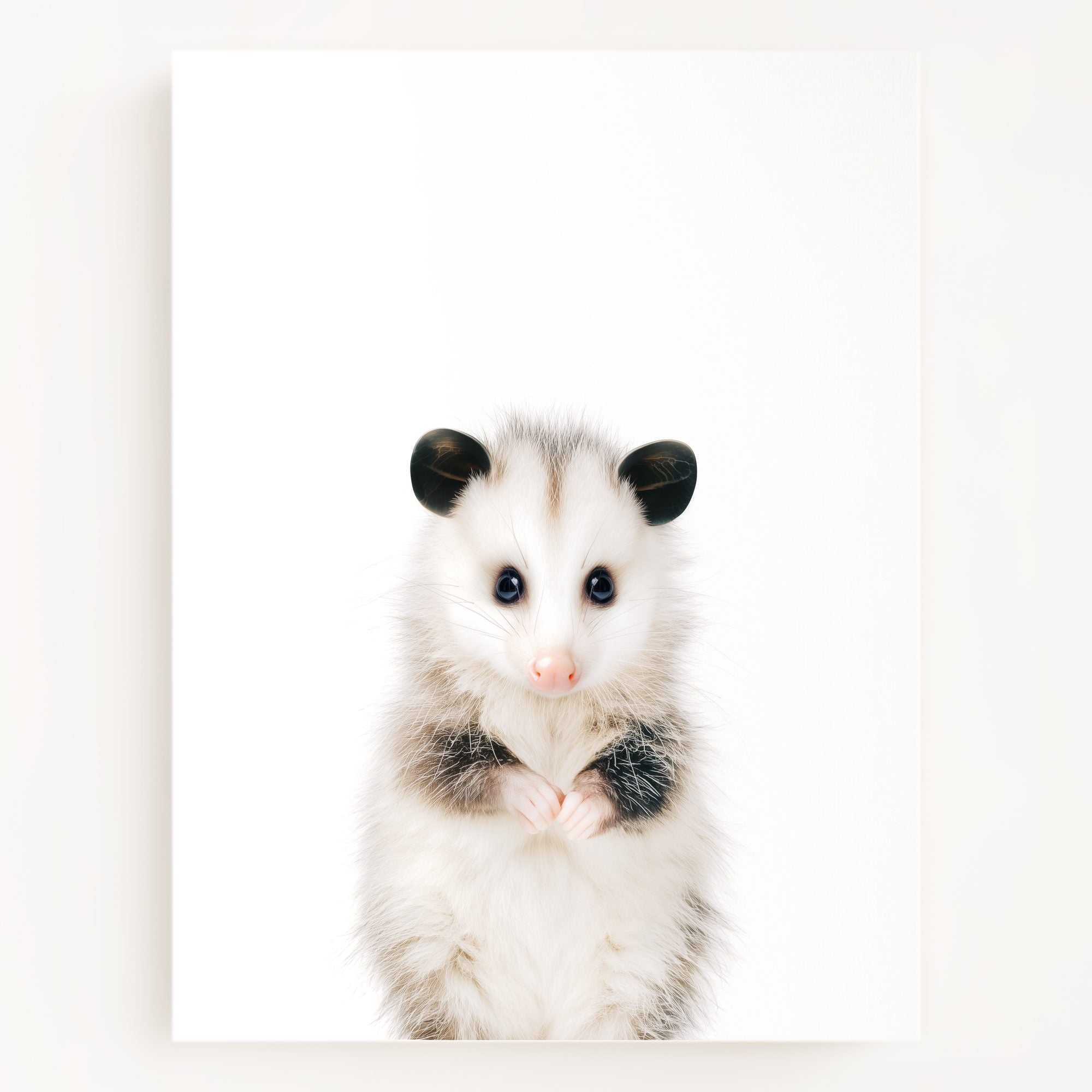 The Baby Animals 2026 Collection