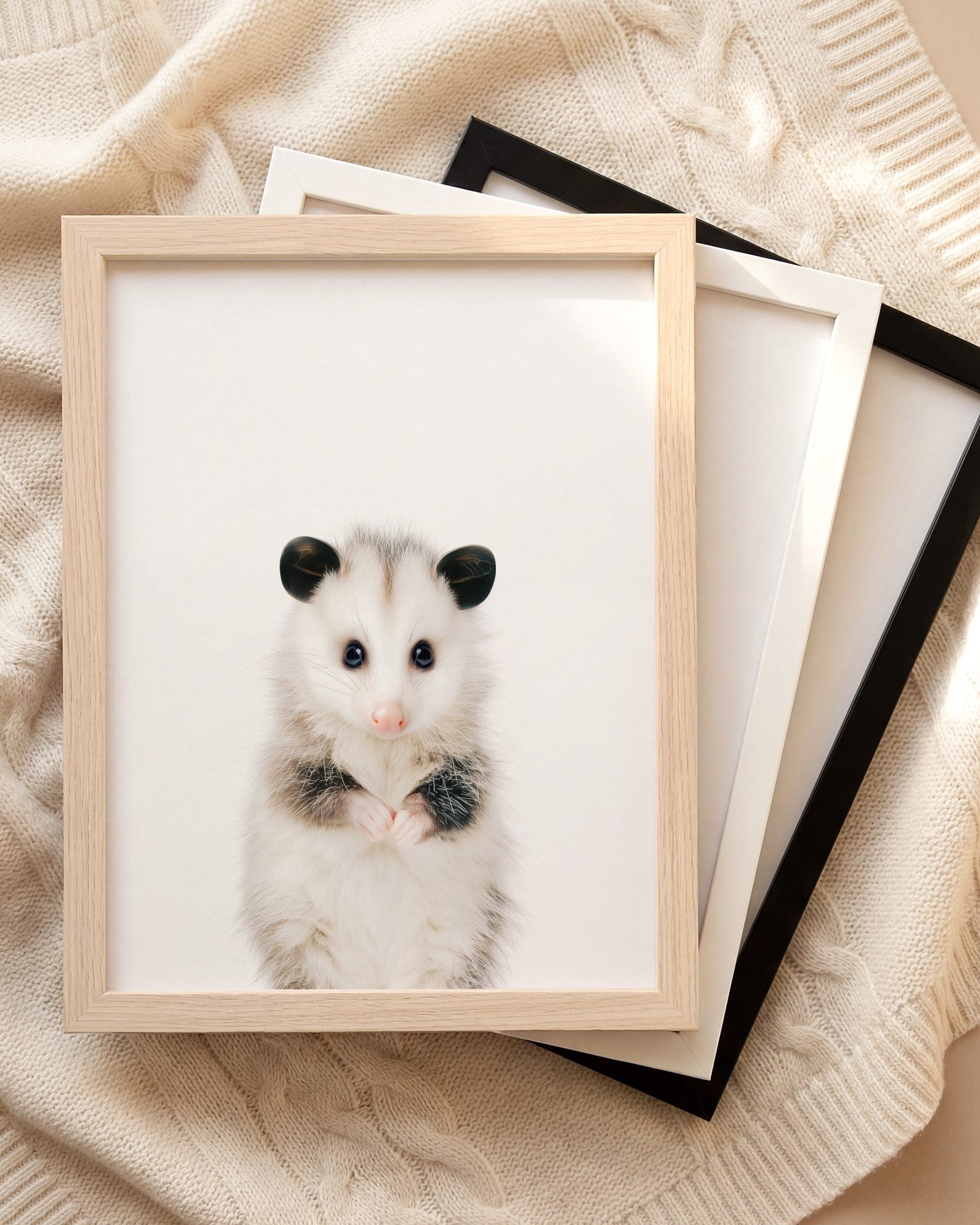 The Baby Animals 2026 Collection