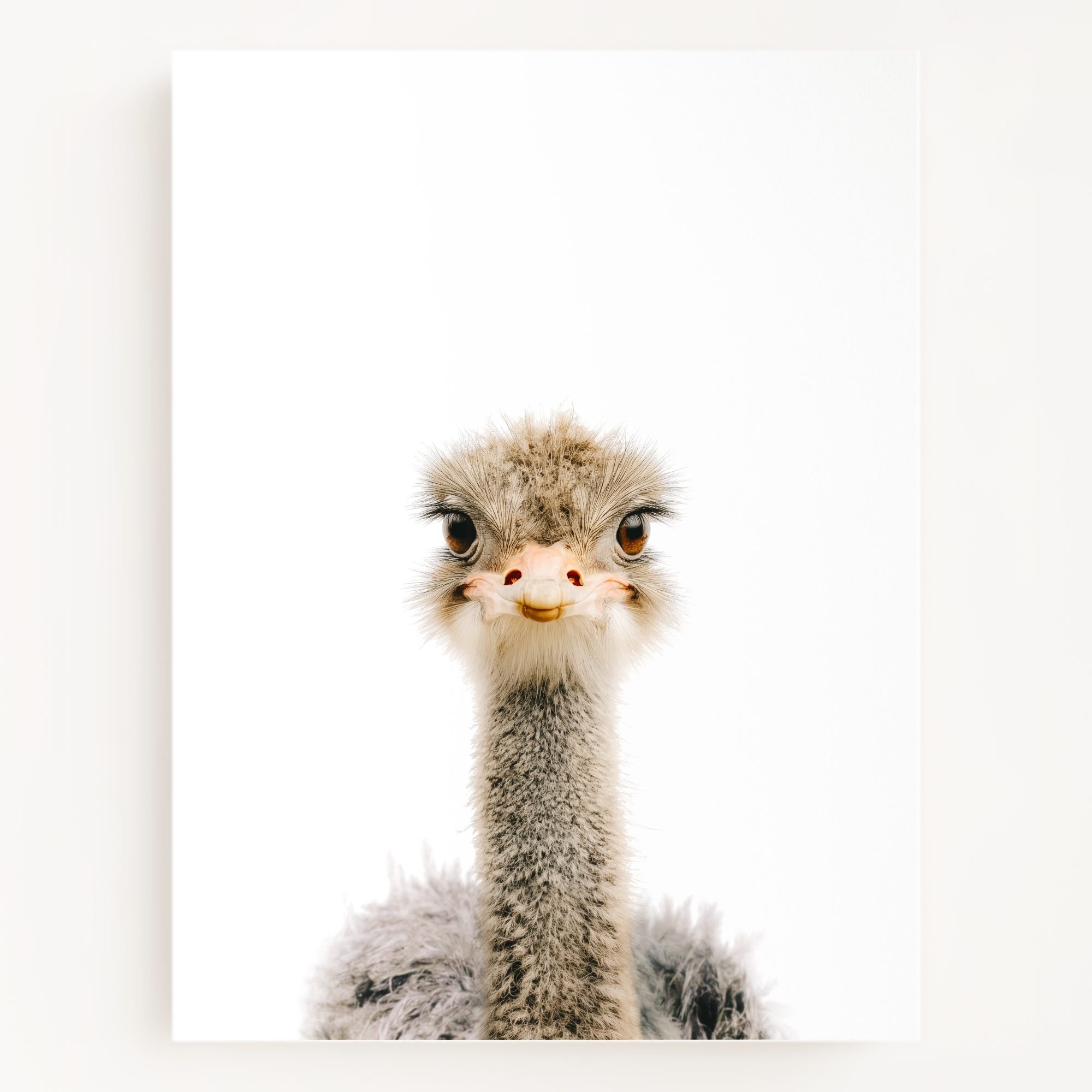 The Baby Animals 2026 Collection