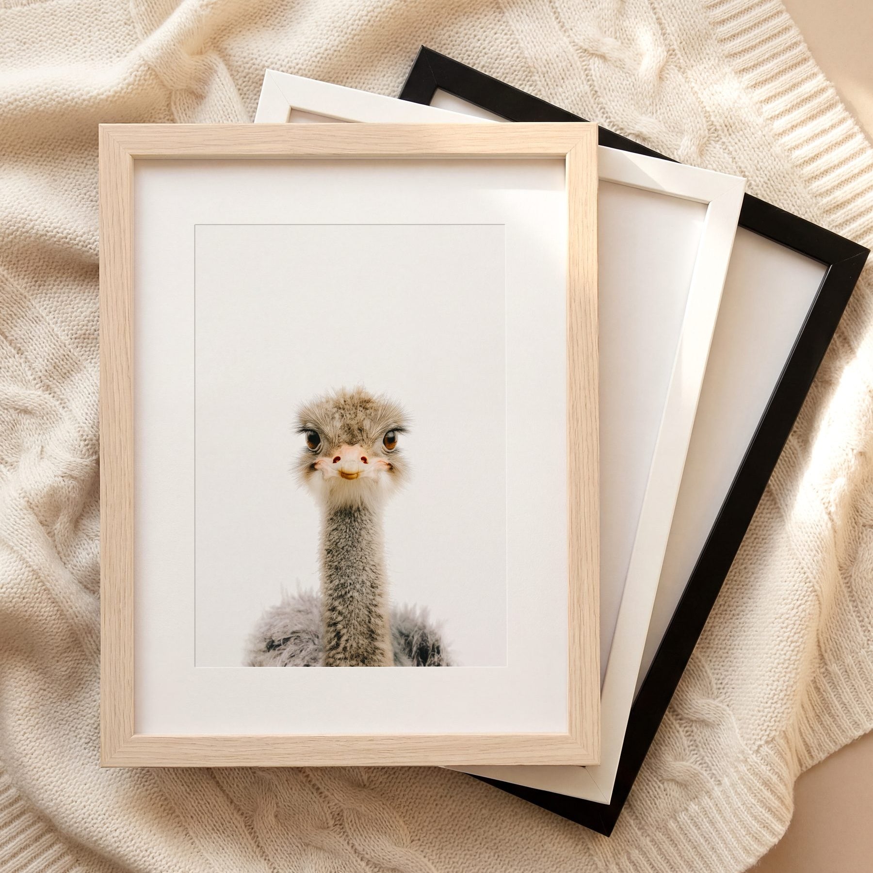 The Baby Animals 2026 Collection