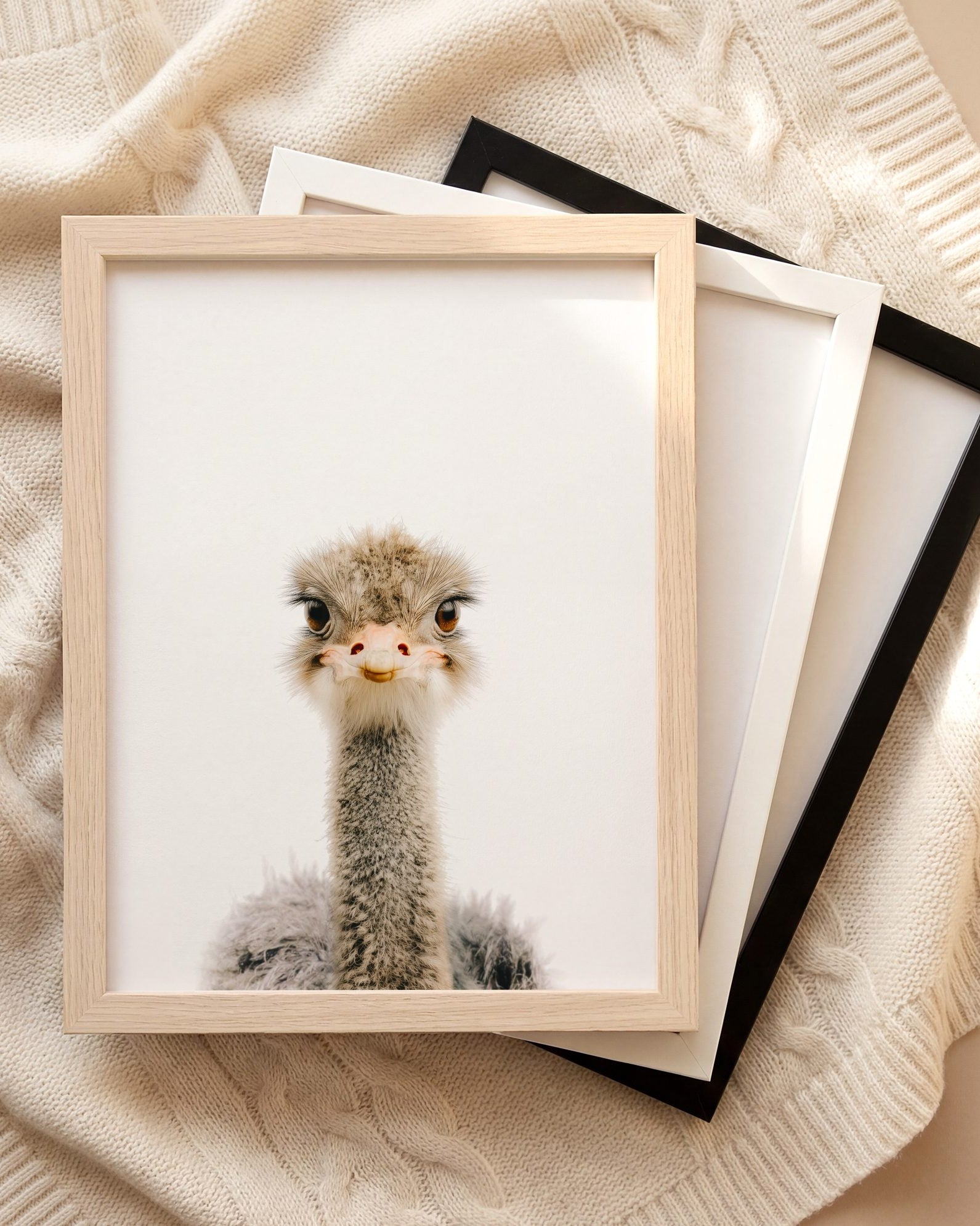 The Baby Animals 2026 Collection