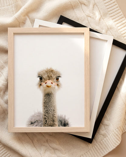 The Baby Animals 2026 Collection