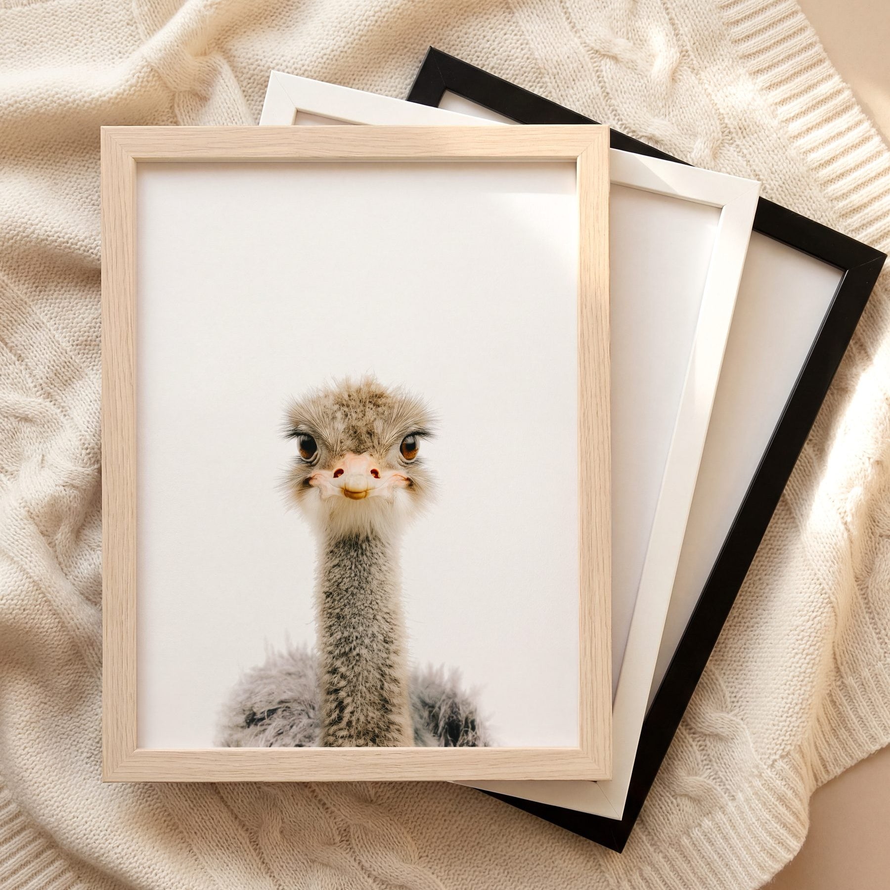 The Baby Animals 2026 Collection