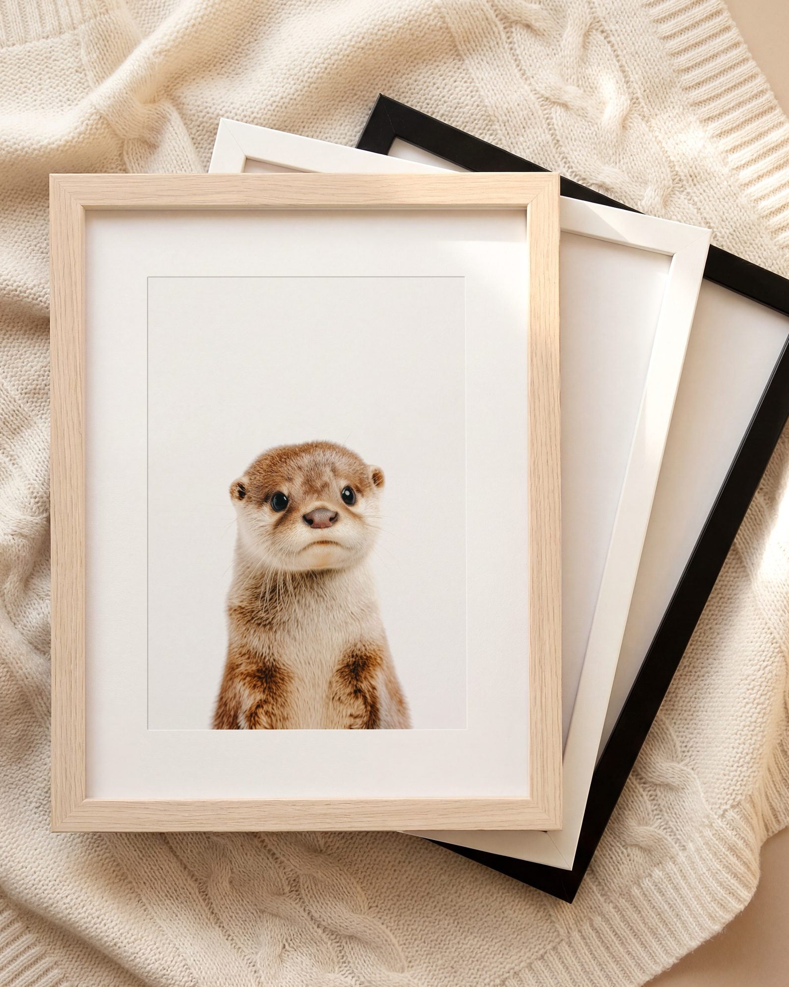 The Baby Animals 2026 Collection