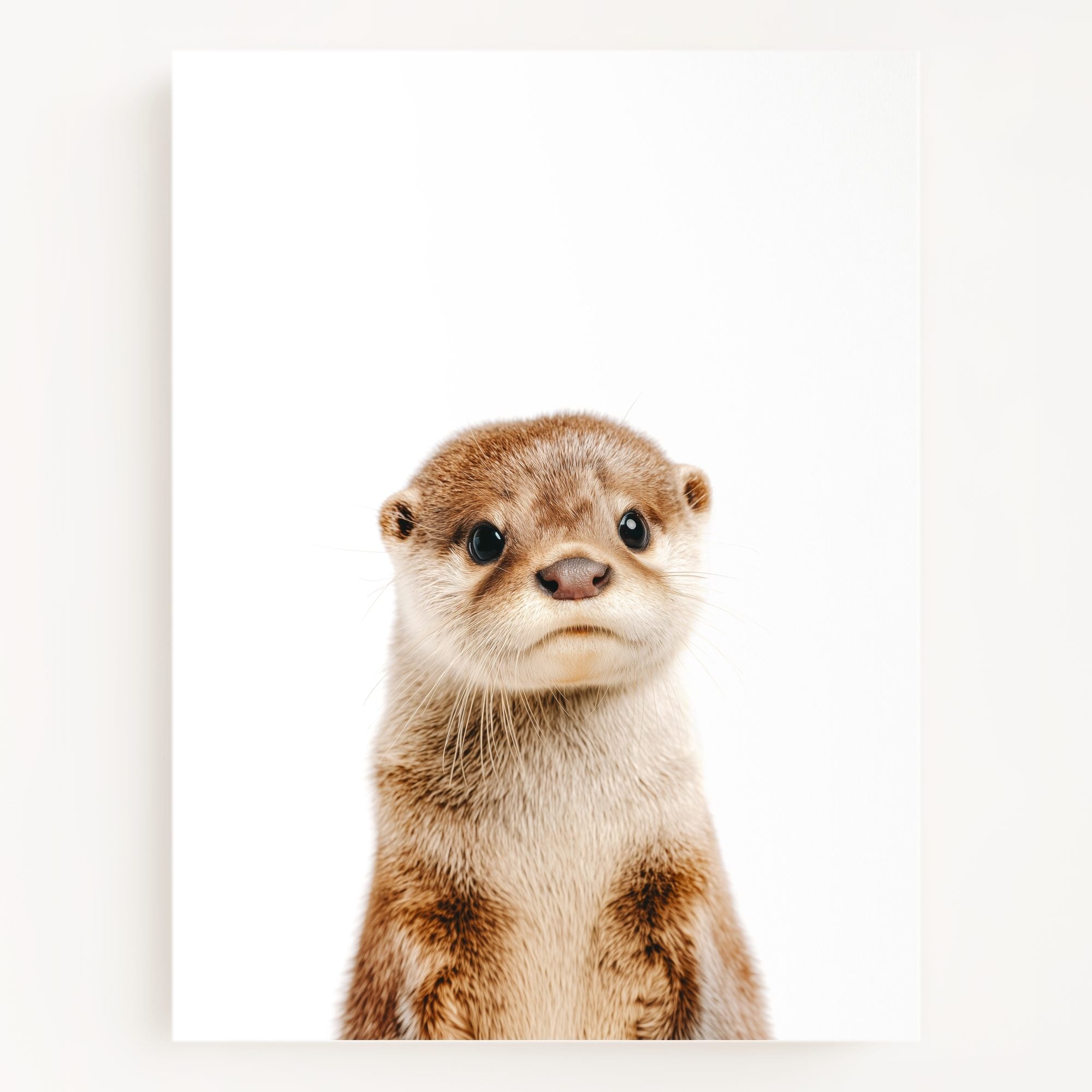 The Baby Animals 2026 Collection