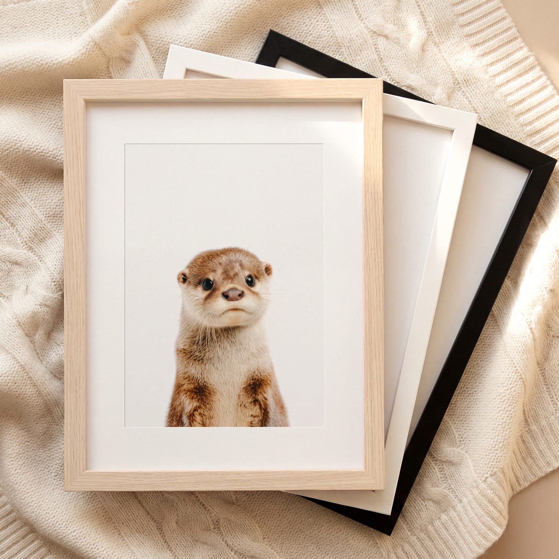 The Baby Animals 2026 Collection