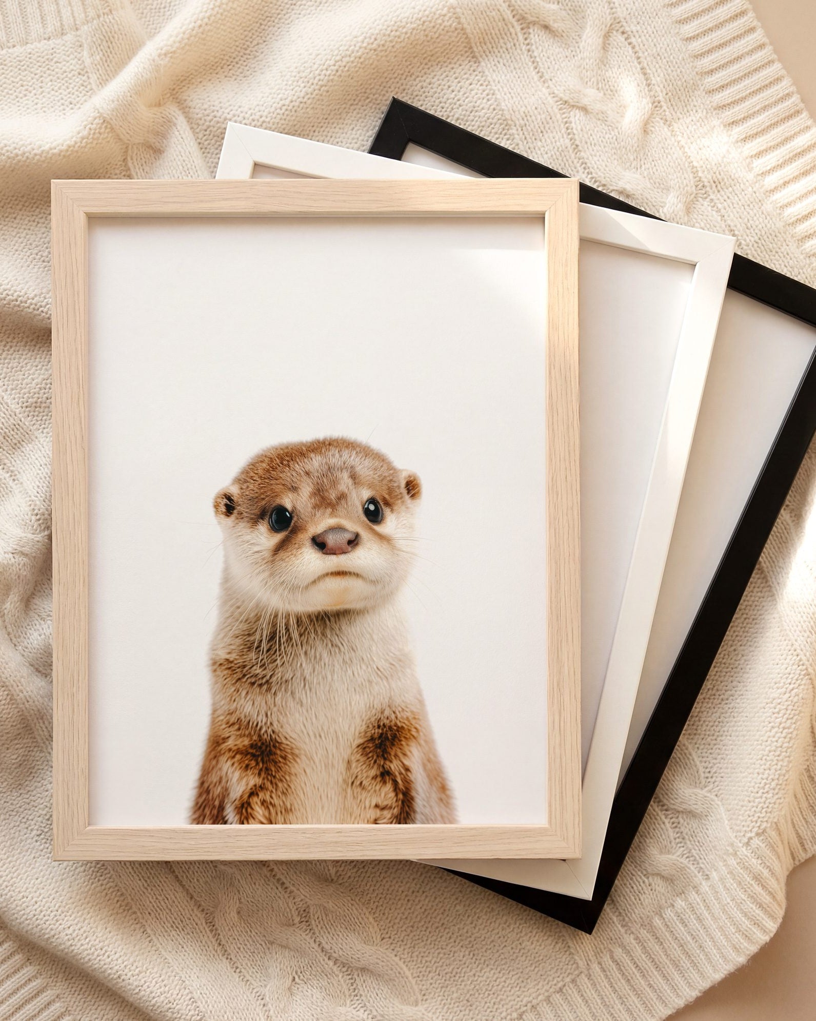 The Baby Animals 2026 Collection