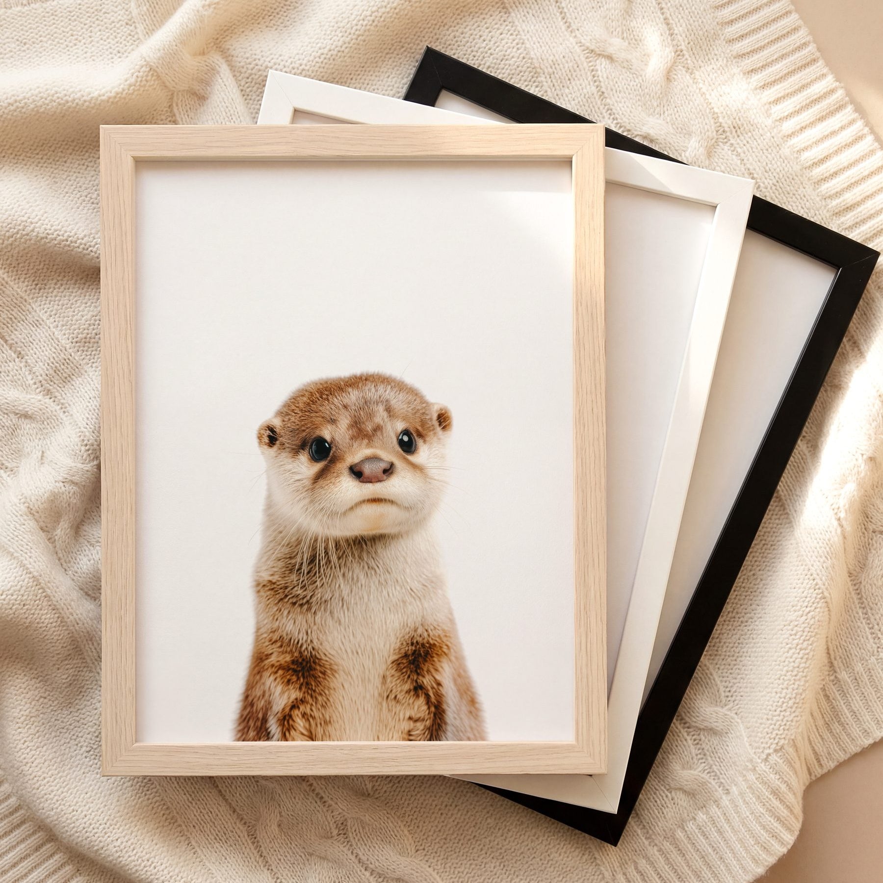 The Baby Animals 2026 Collection