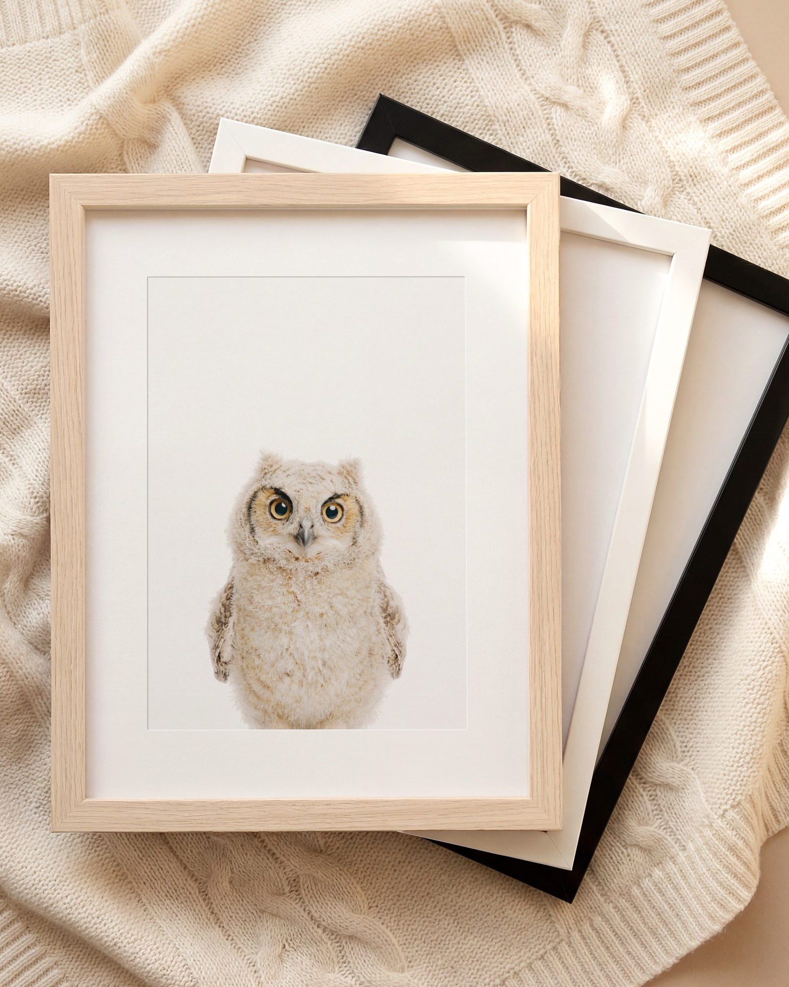 The Baby Animals 2026 Collection