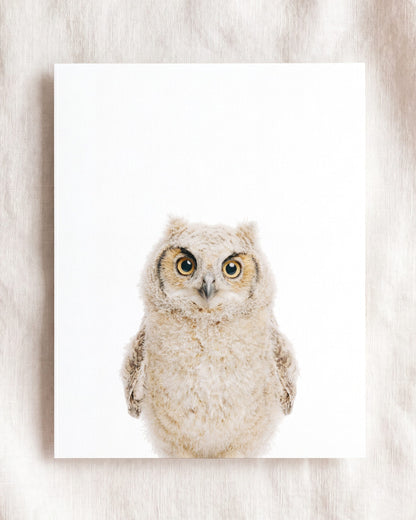 The Baby Animals 2026 Collection