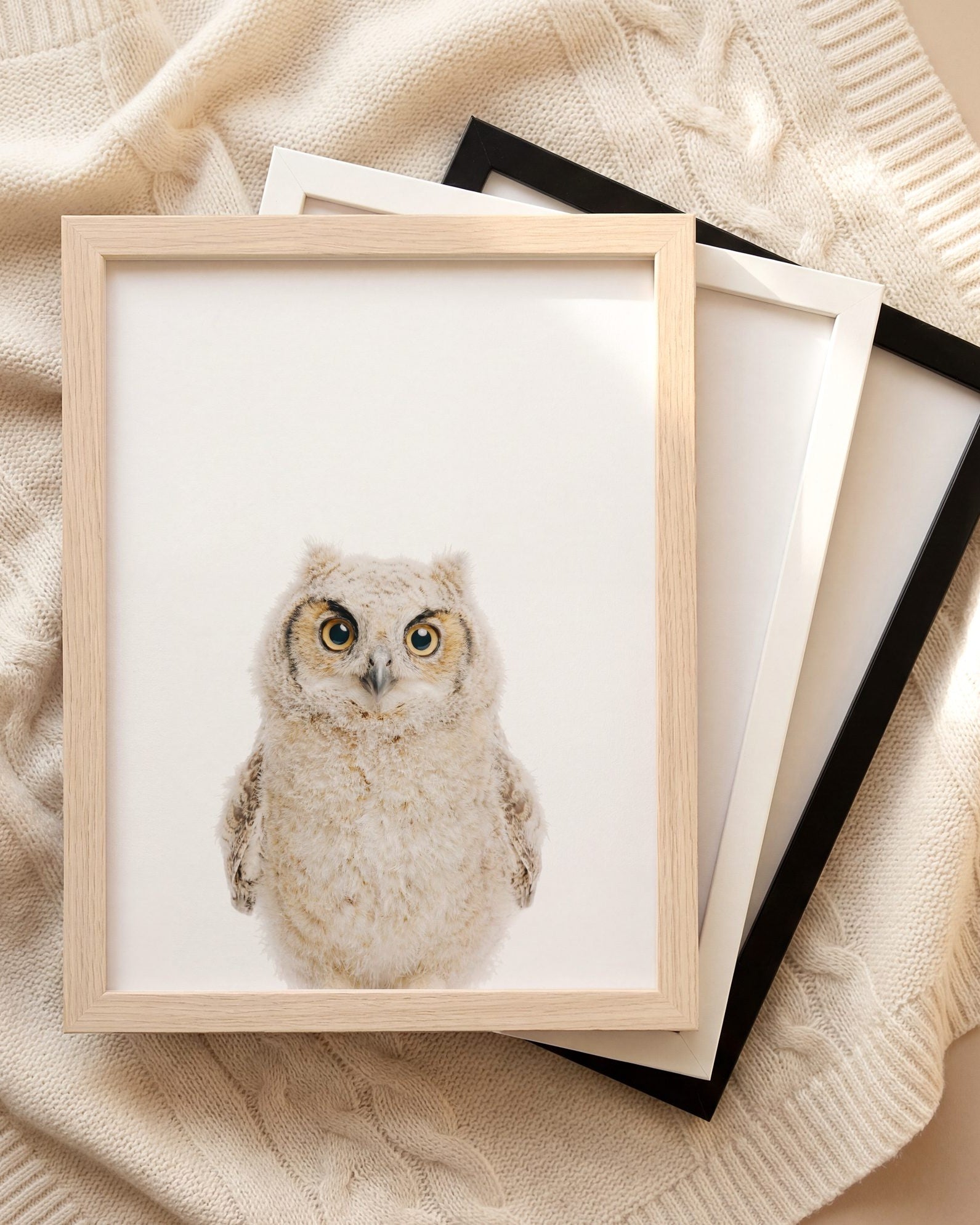 The Baby Animals 2026 Collection