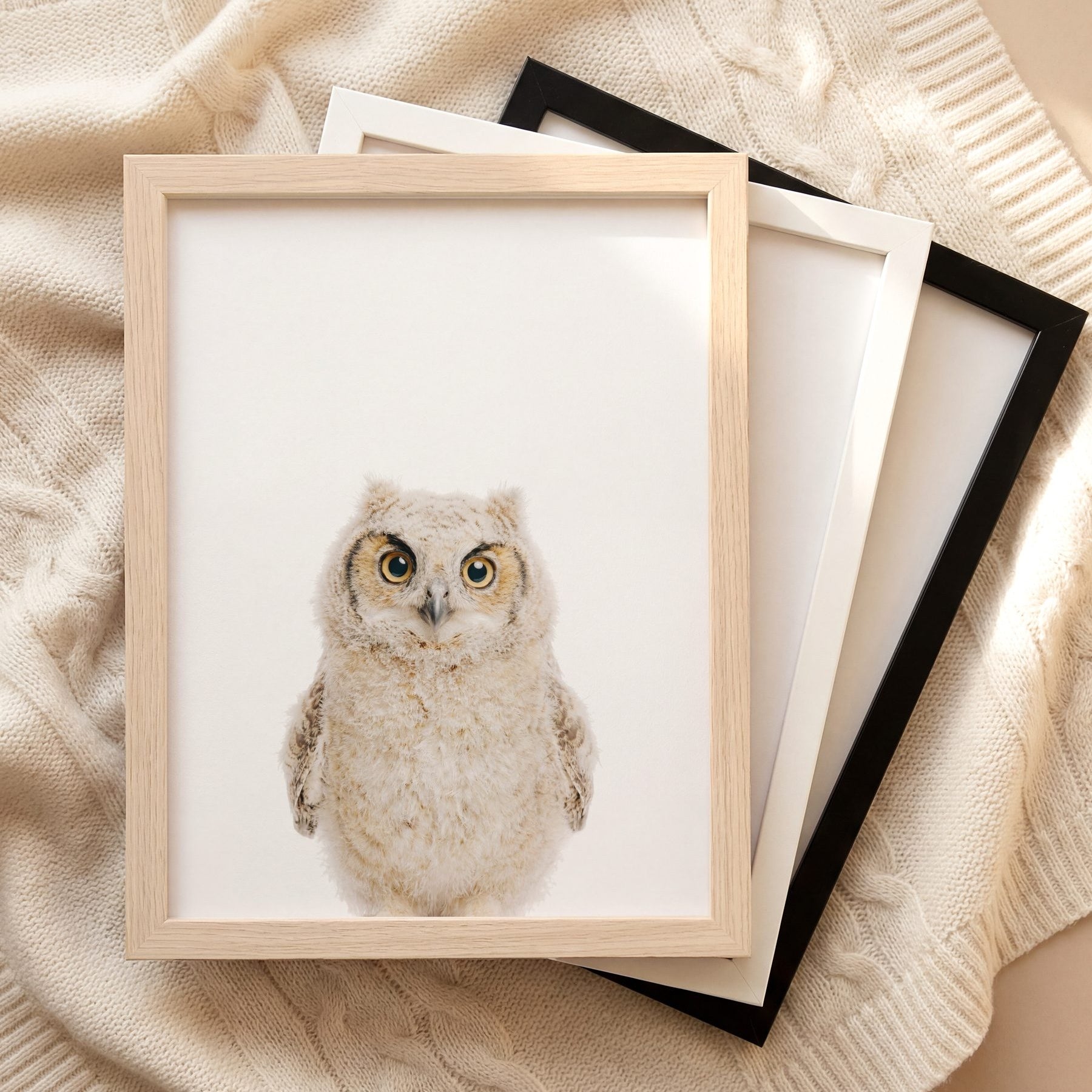 The Baby Animals 2026 Collection