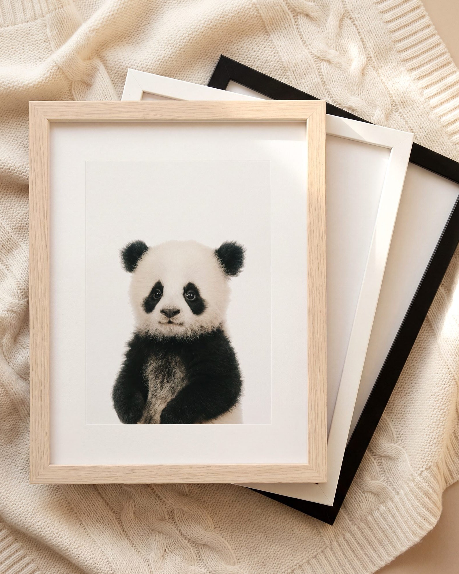 The Baby Animals 2026 Collection