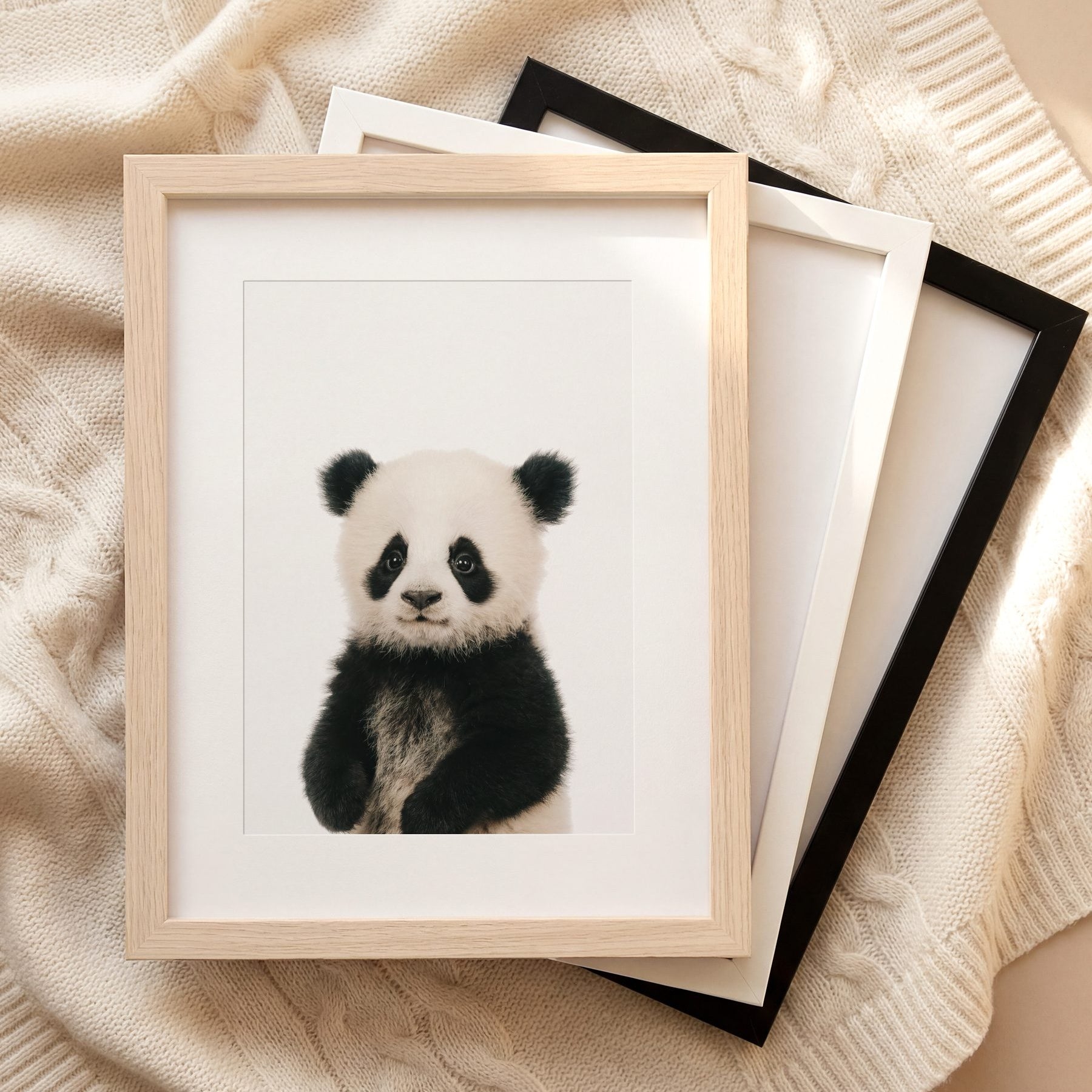 The Baby Animals 2026 Collection