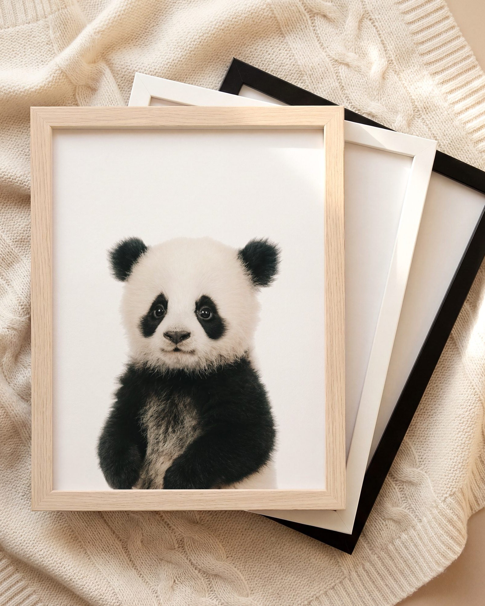The Baby Animals 2026 Collection