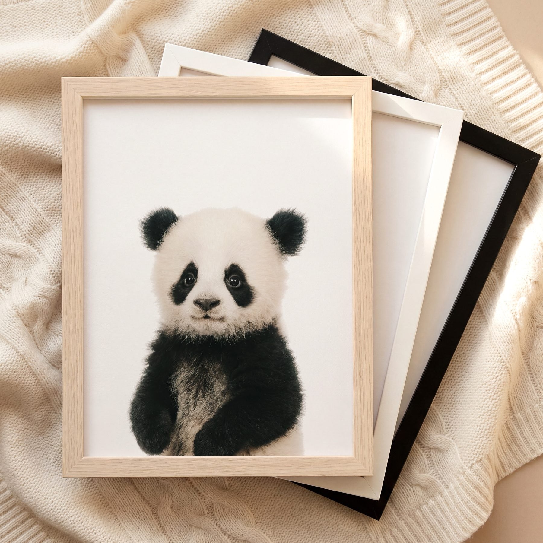 The Baby Animals 2026 Collection