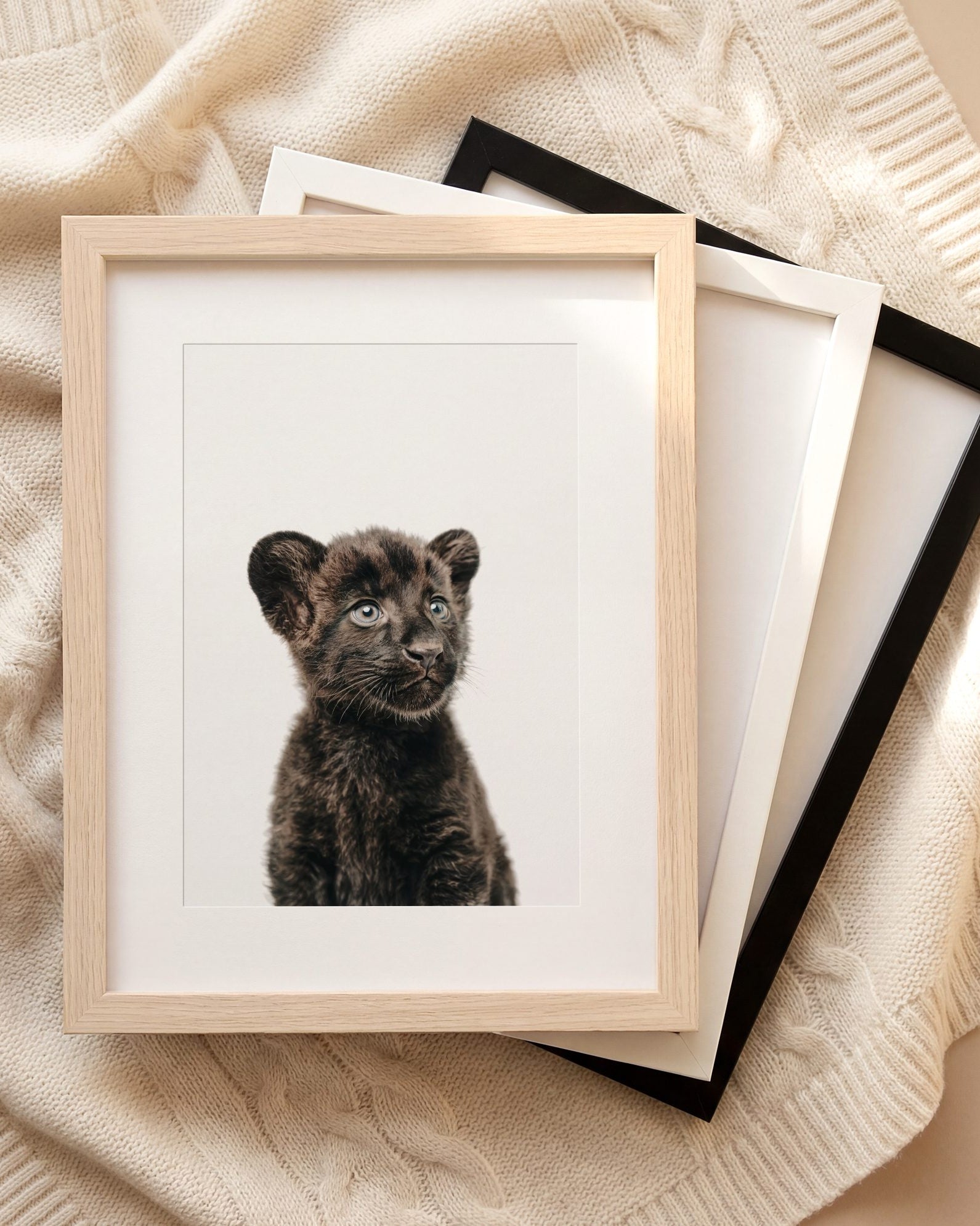 The Baby Animals 2026 Collection
