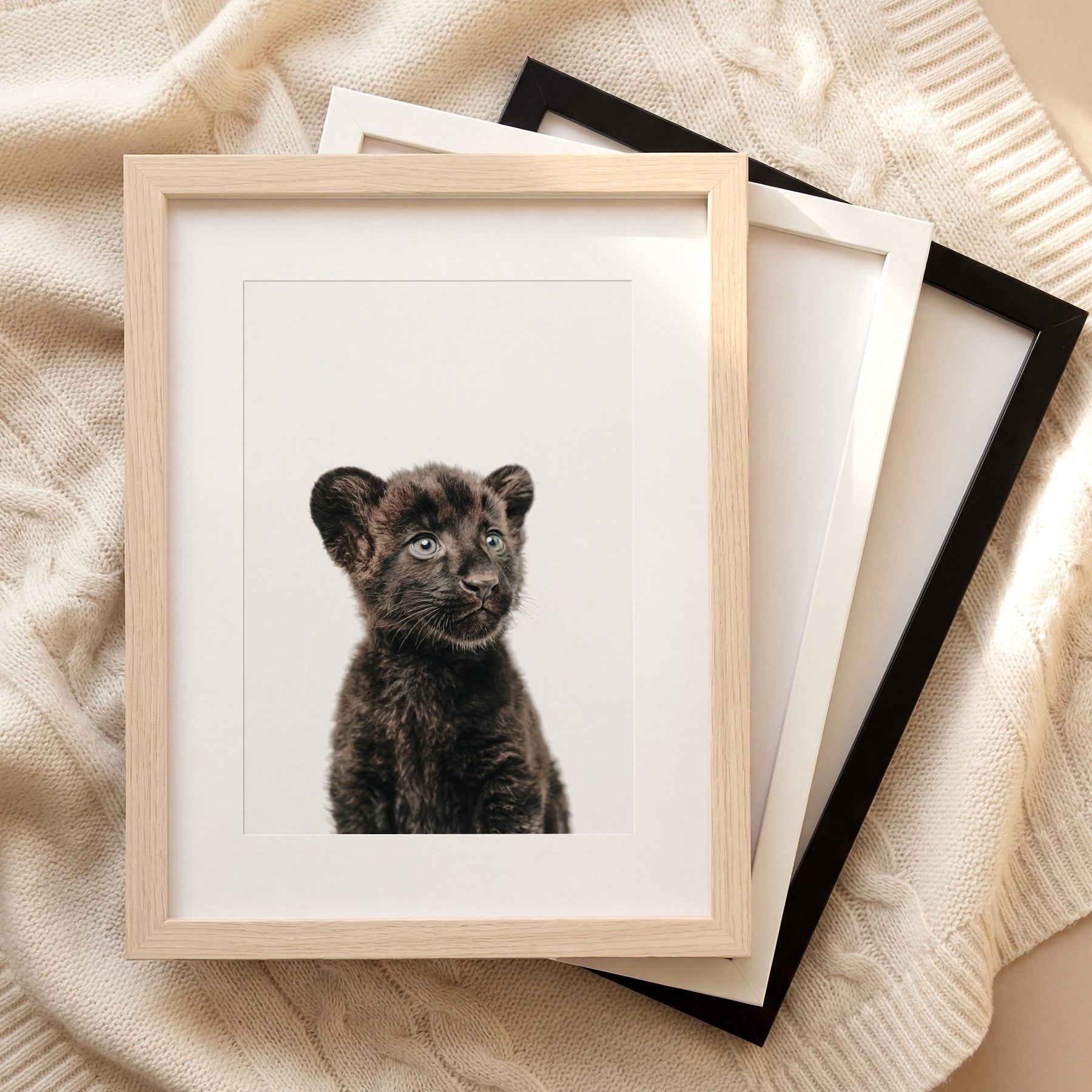The Baby Animals 2026 Collection