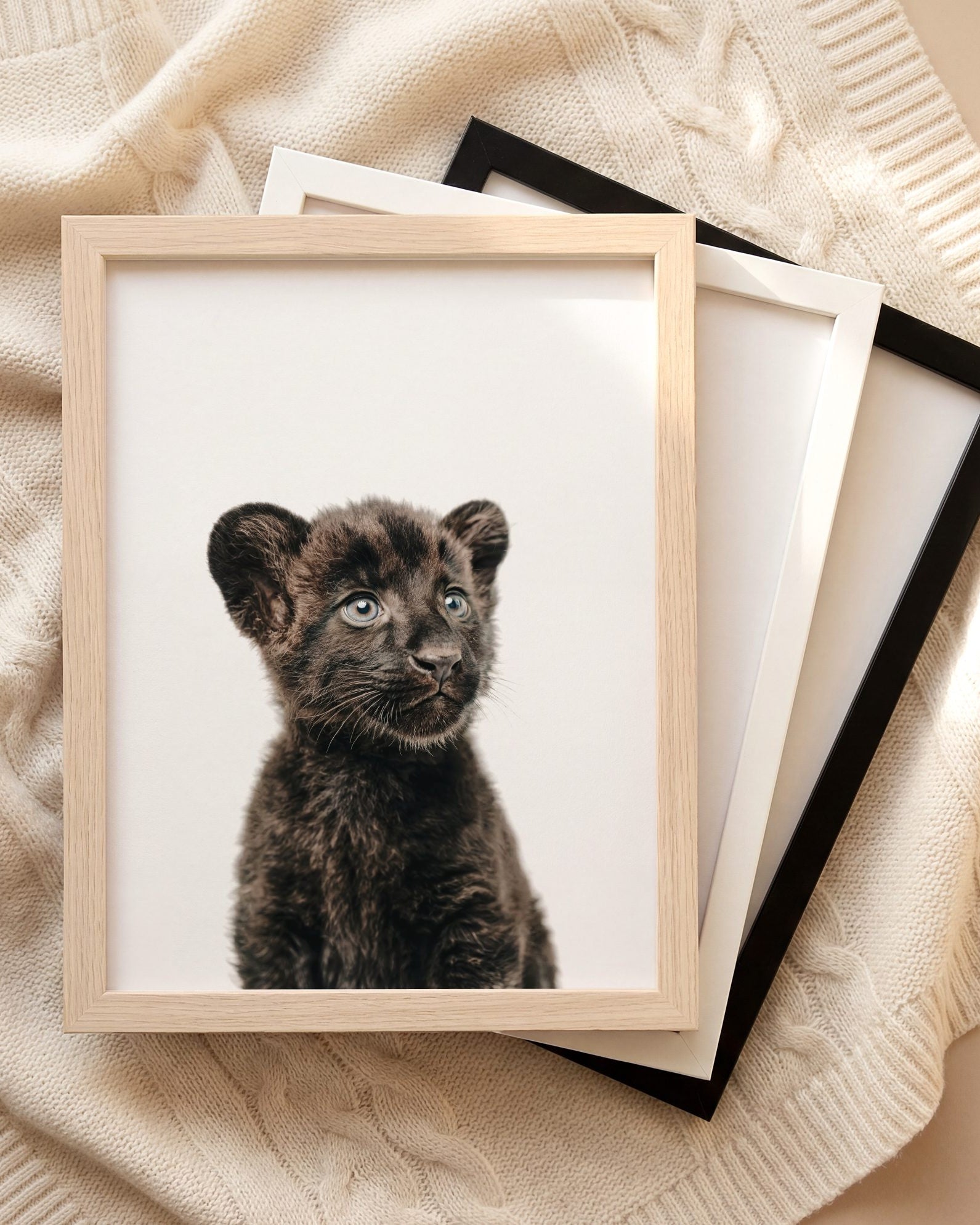 The Baby Animals 2026 Collection