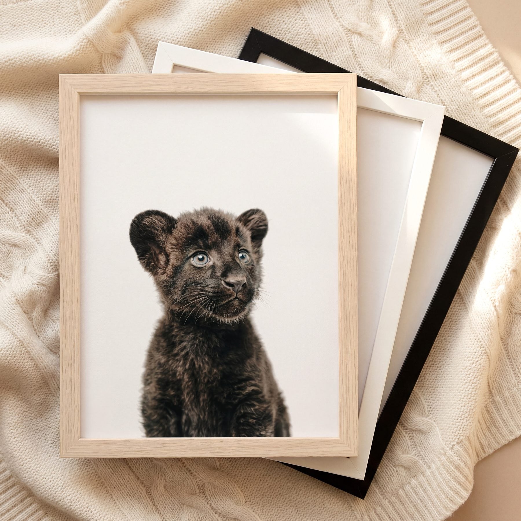 The Baby Animals 2026 Collection