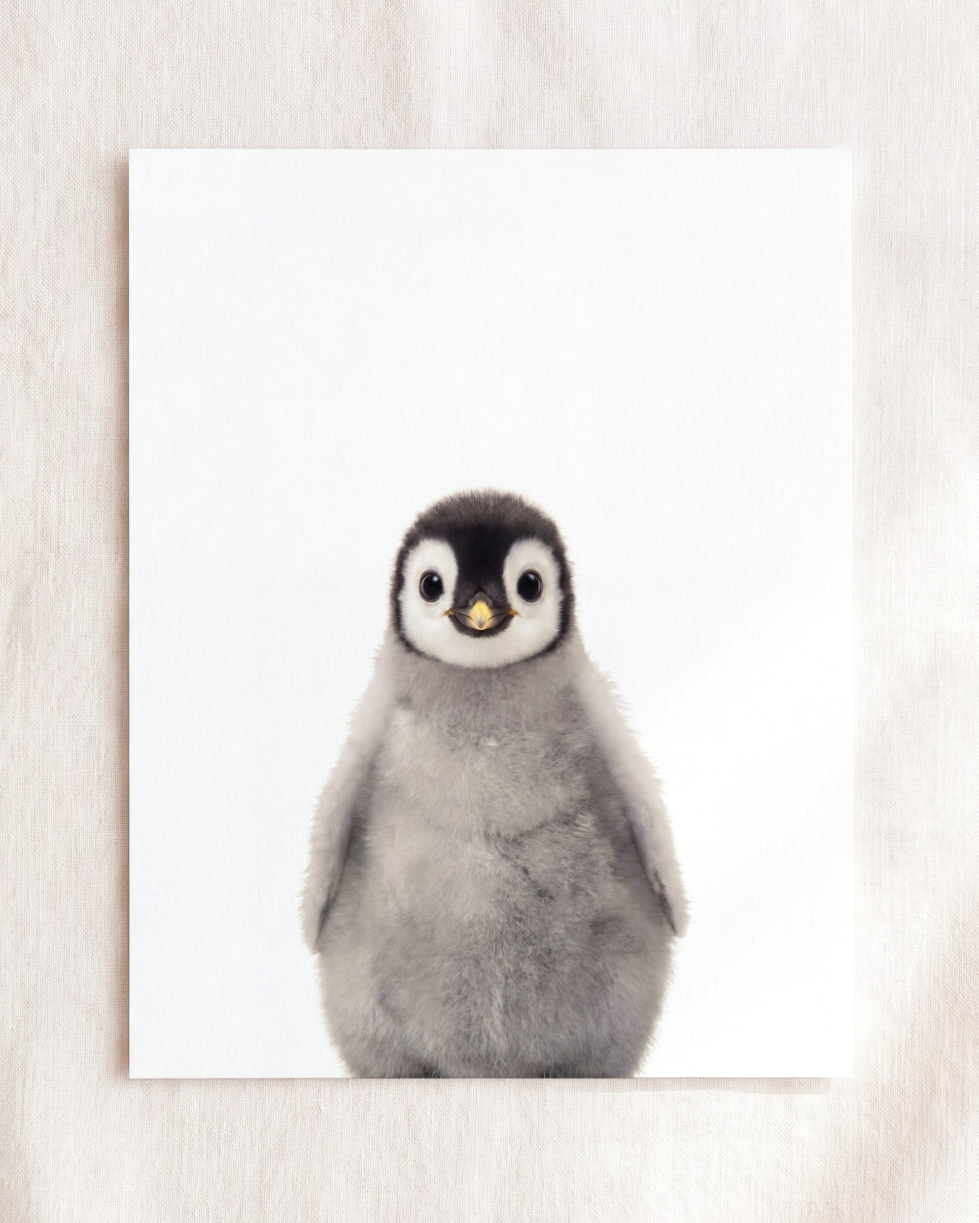The Baby Animals 2026 Collection