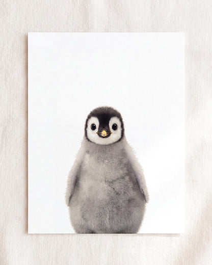 The Baby Animals 2026 Collection
