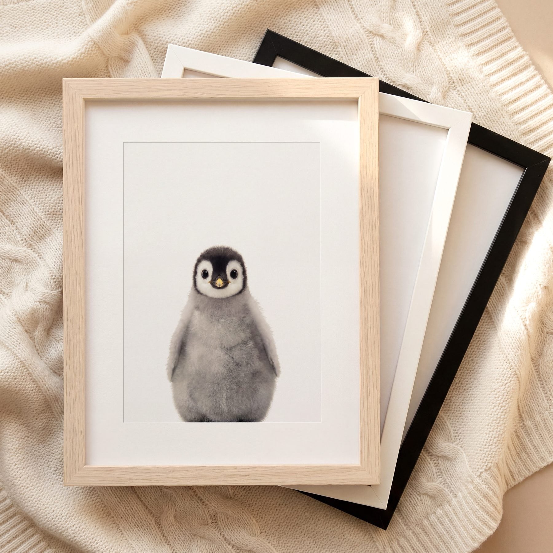 The Baby Animals 2026 Collection
