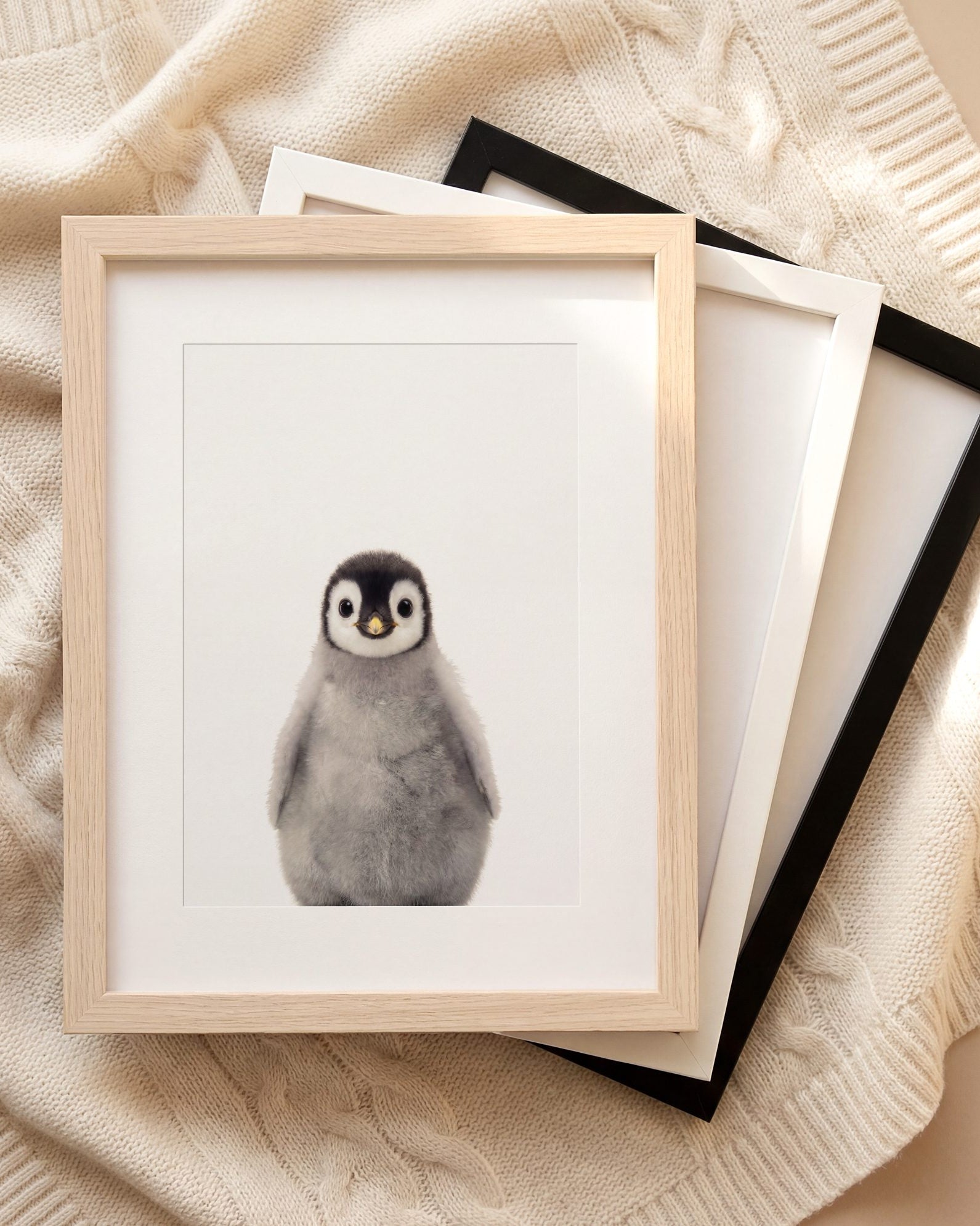The Baby Animals 2026 Collection