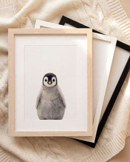 The Baby Animals 2026 Collection