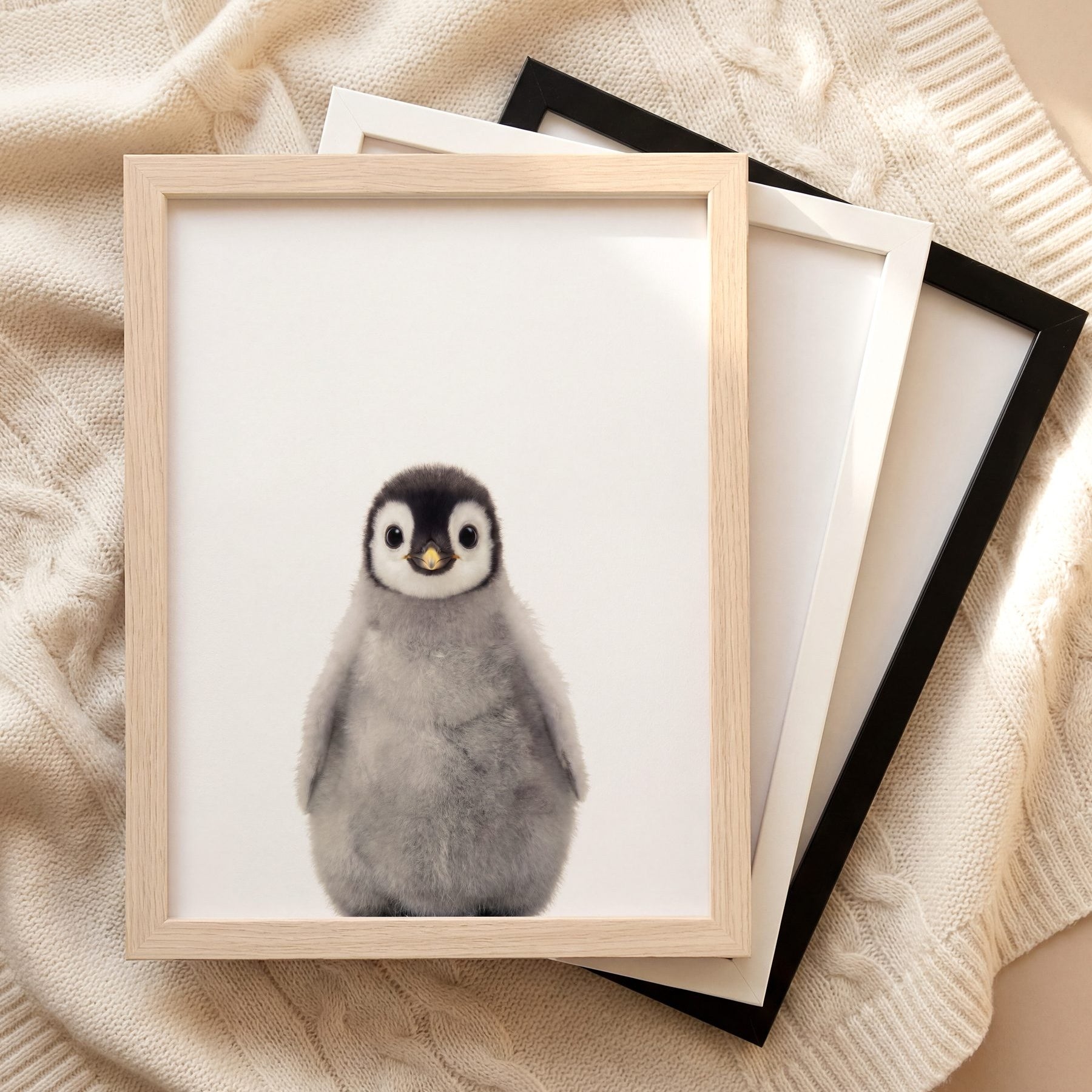 The Baby Animals 2026 Collection