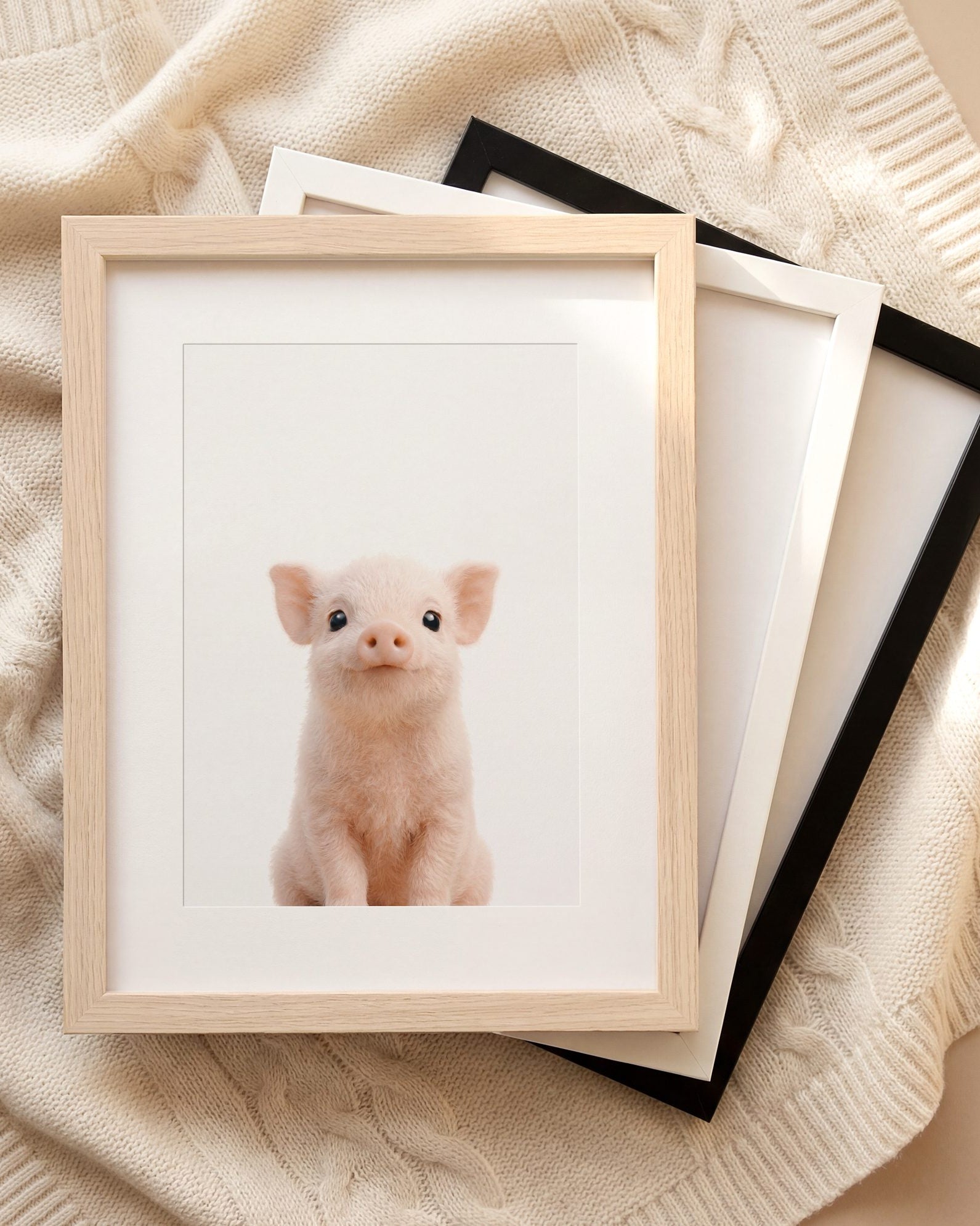 The Baby Animals 2026 Collection