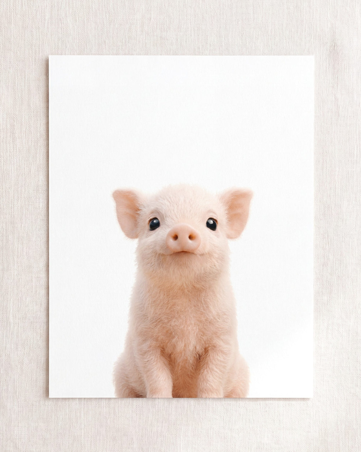 The Baby Animals 2026 Collection
